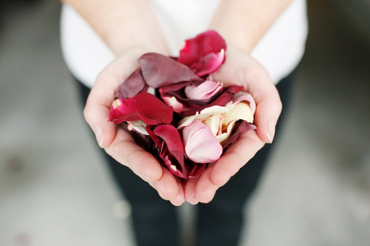 Stop And Smell The Roses