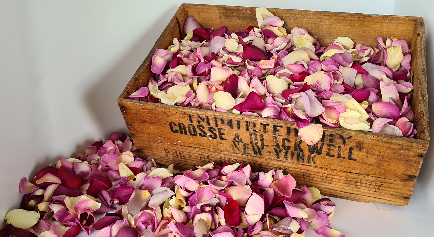 A bulk arrangement of mixed colour Eco-friendly non-wilting freeze-dried rose petals