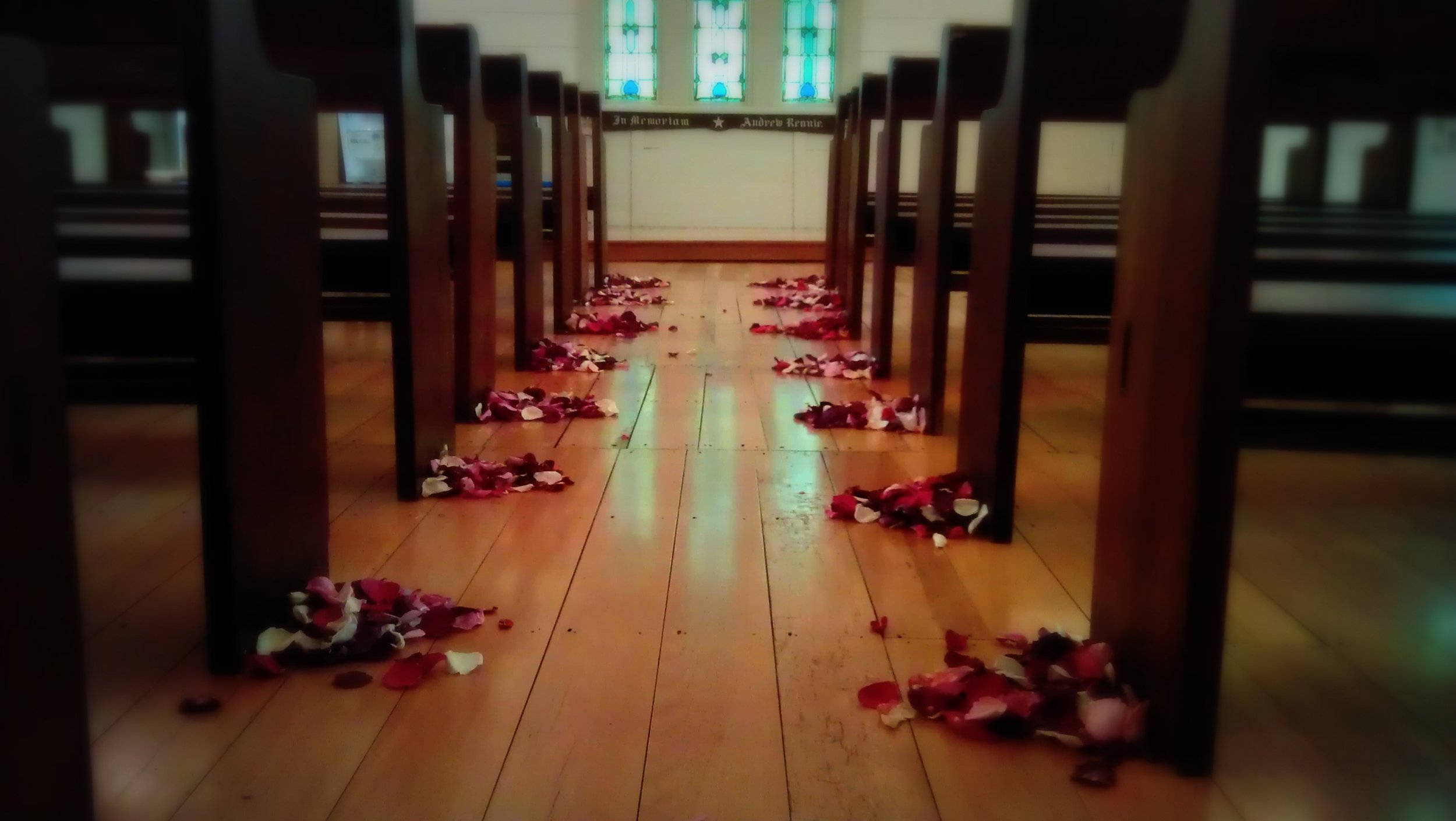 freeze-dried bulk rose petals decorating the a church aisle— elegant, long-lasting, and ideal for weddings, proposals, and styling aisles. Naturally beautiful and venue-friendly