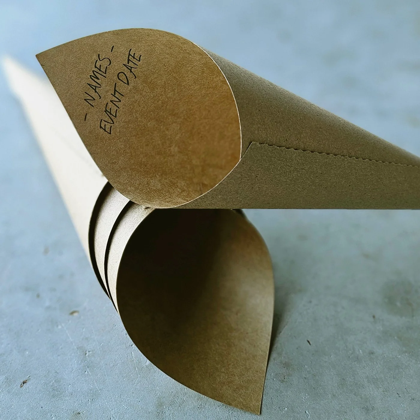 Kraft Paper Petal Cones 10 pack