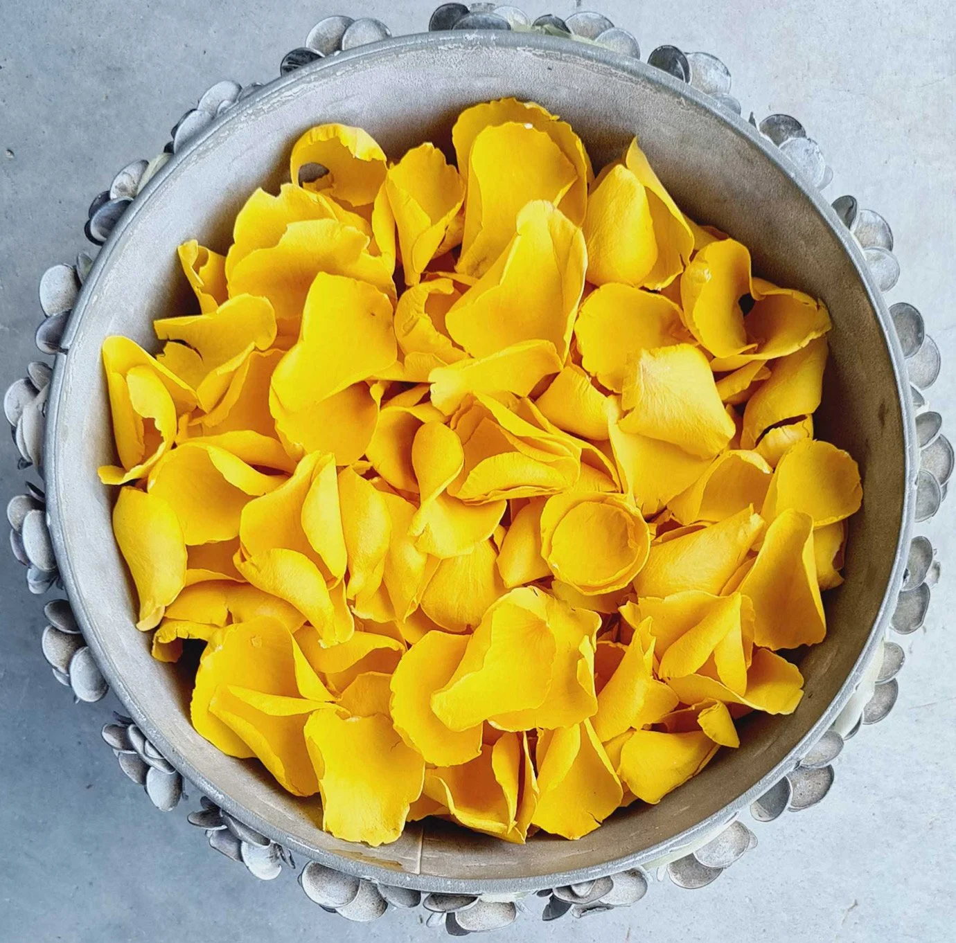 An arrangement of eco-friendly, non-wilting, freeze-dried yellow rose petals.