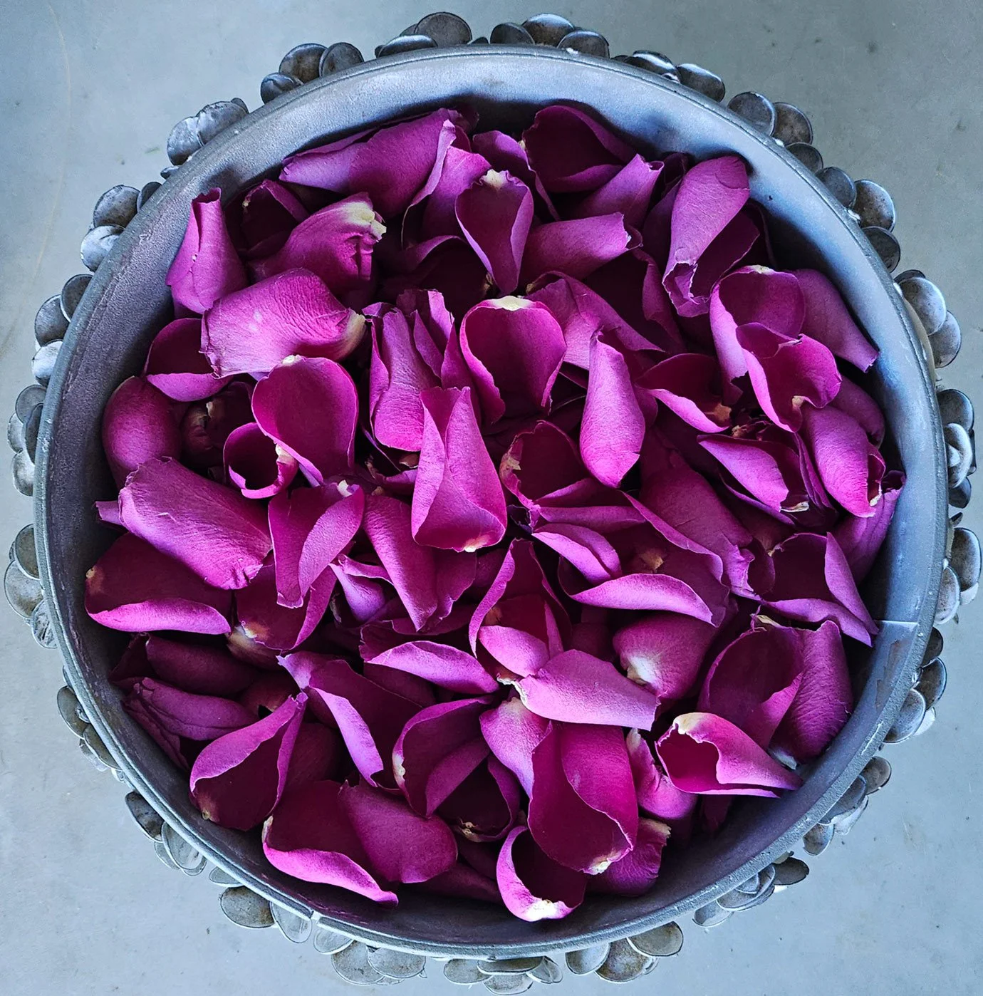 freeze-dried-petals-wedding-Violet.jpg