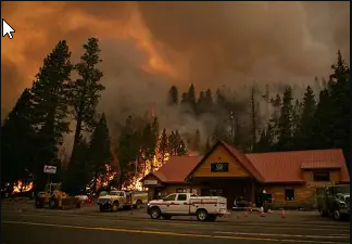 Grizzly Flats