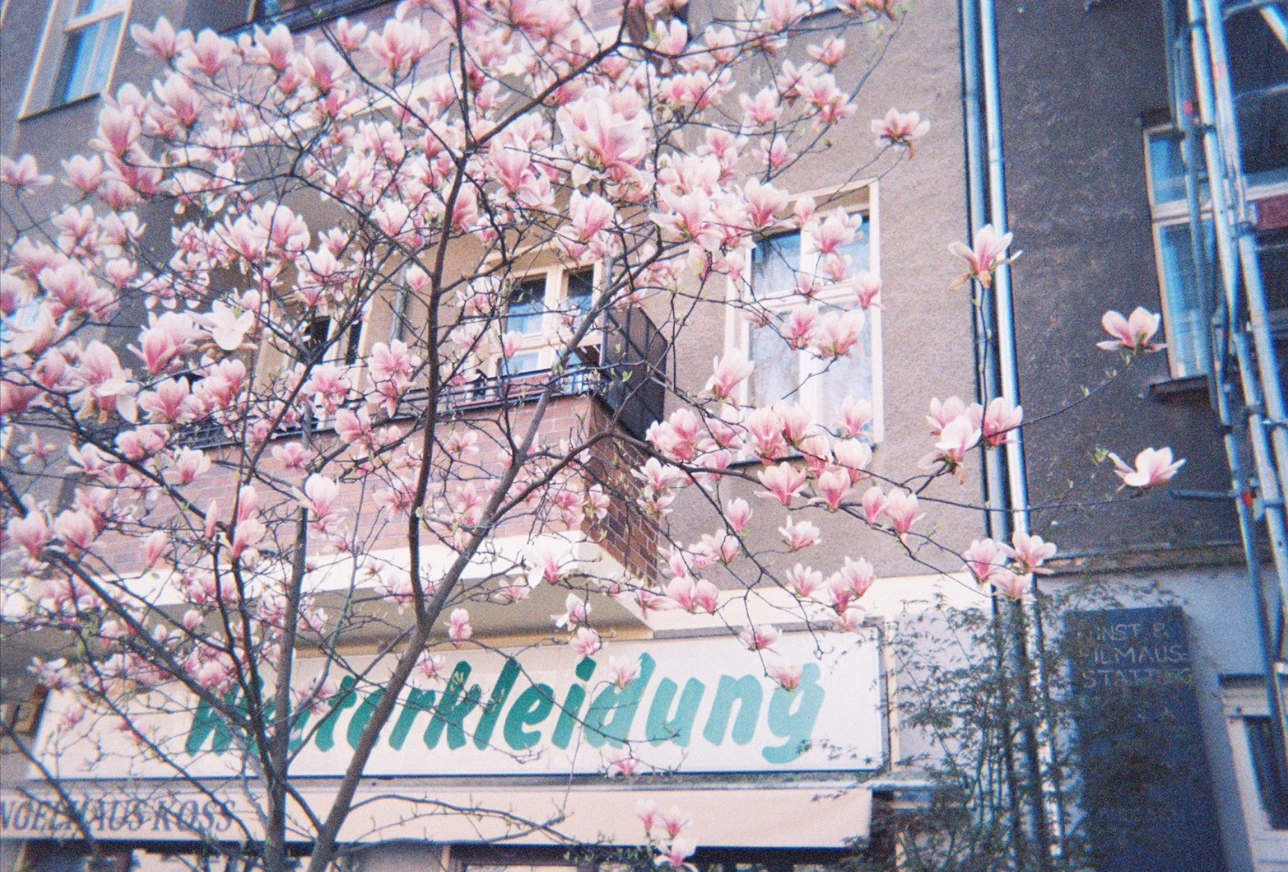 Screenshot 5.jpg