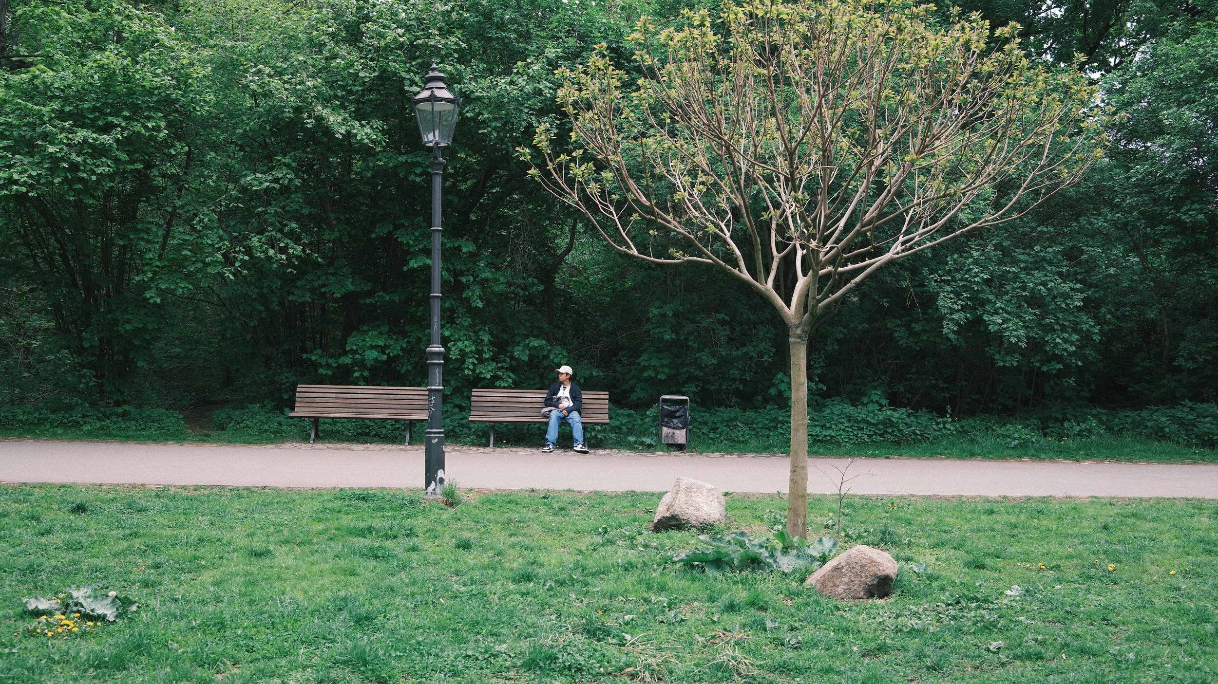 DSCF0148.JPG