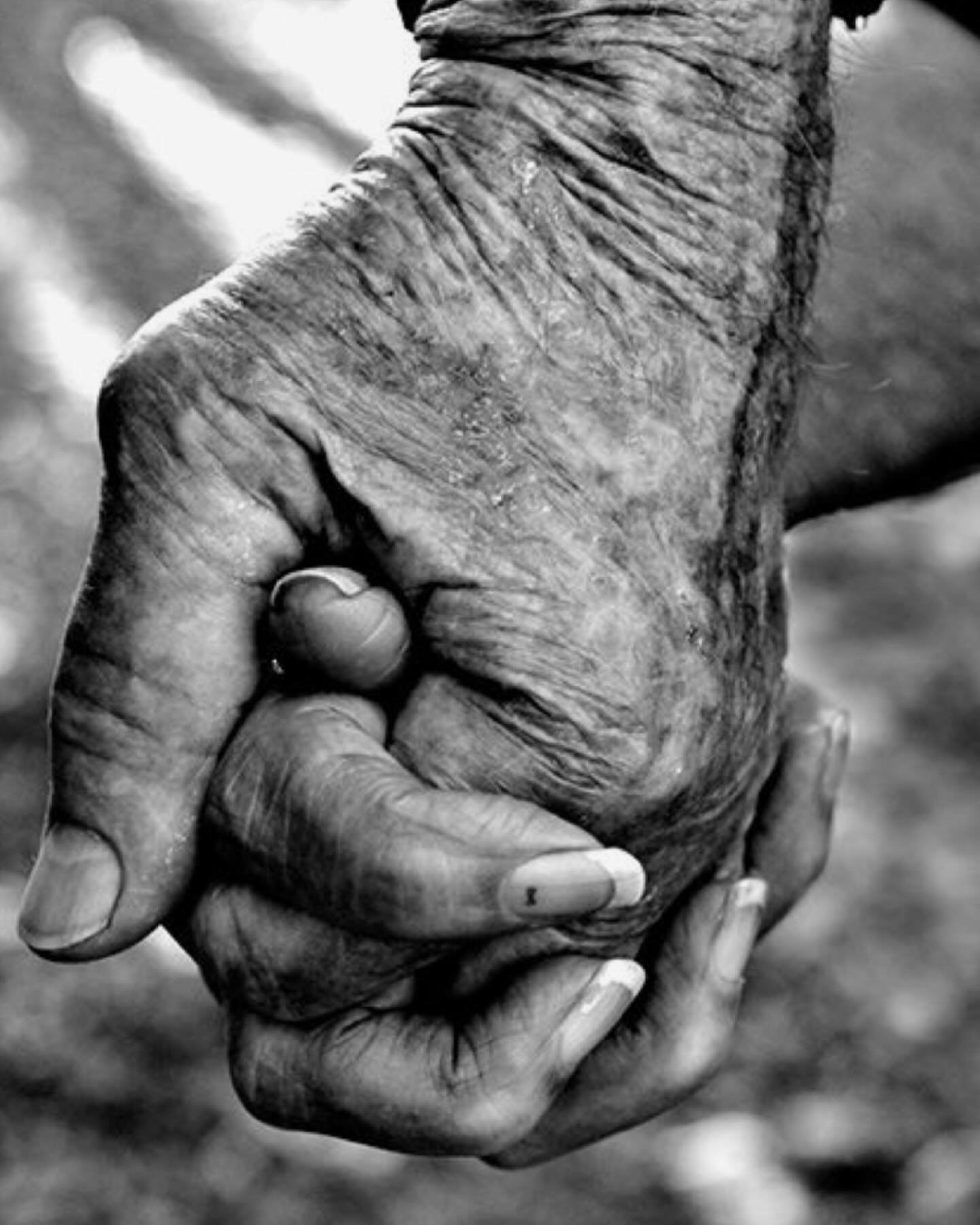 Something I wrote when a life love story ends.

Good morning, good night, goodbye.

How many Wednesdays have we had together? How many kettles have boiled for our tea? How many fresh out of the oven loaves of bread have been sliced?And how many times