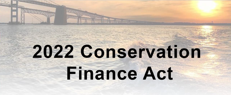 Explainer Header Smaller.png