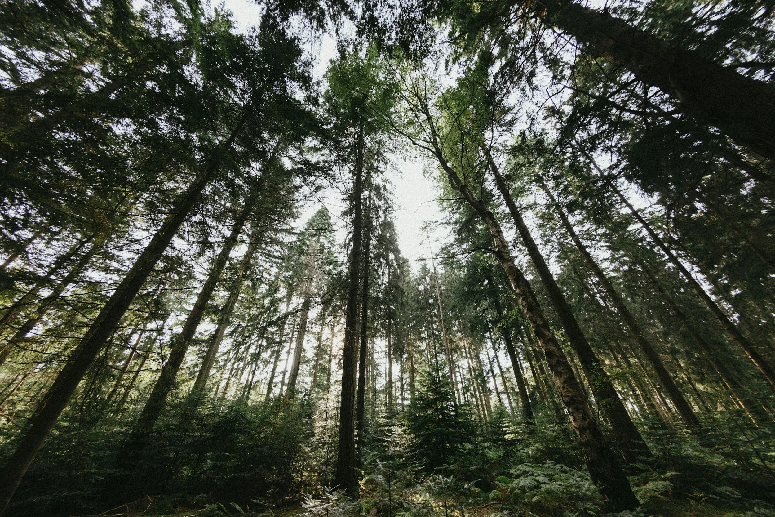 Reimagining the Work(force) our Environment Needs: Why We’re Building a New Kind of Skills Taxonomy