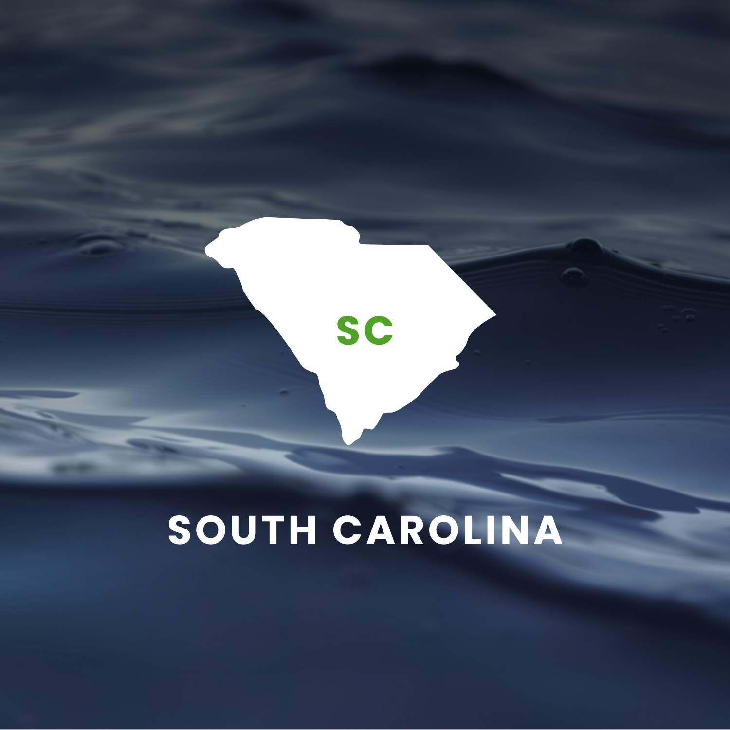 South Carolina’s Earmarks Factsheet