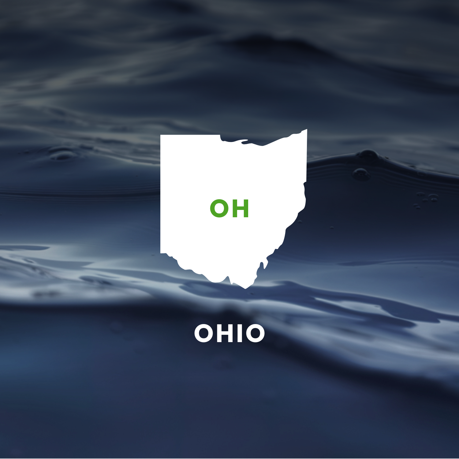 Ohio’s Earmarks Factsheet