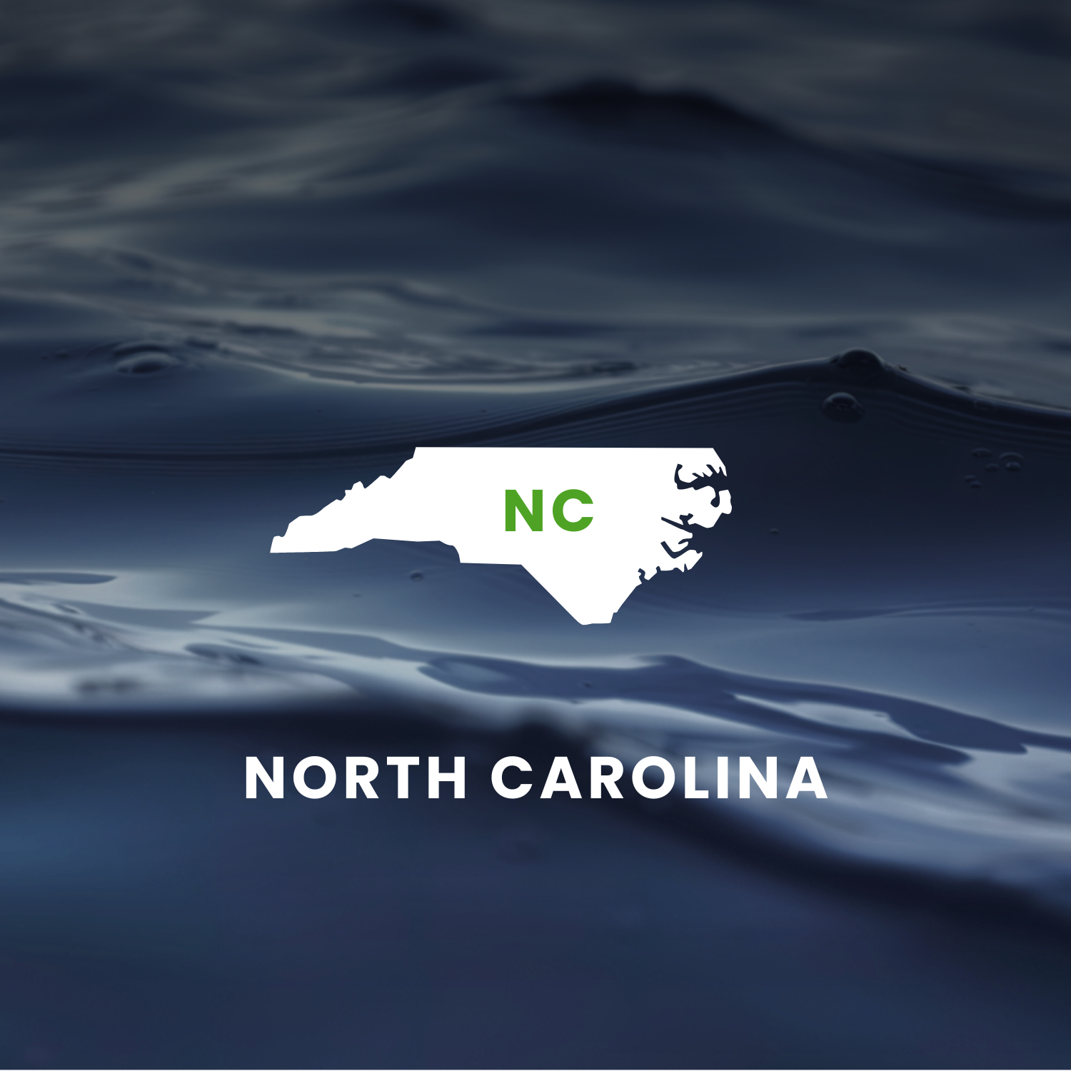 North Carolina’s Earmarks Factsheet