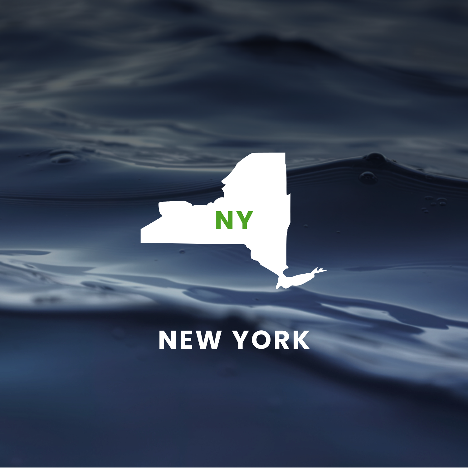 New York’s Earmarks Factsheet
