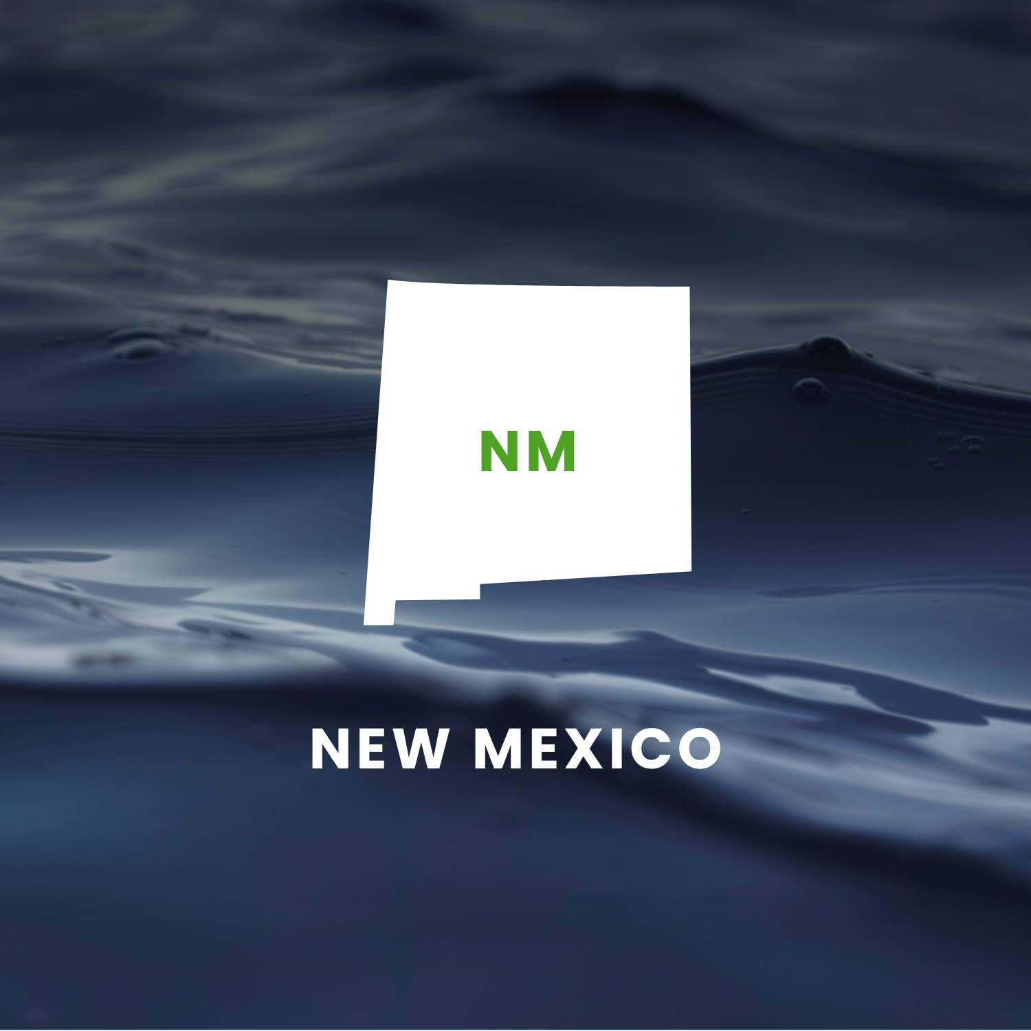 New Mexico’s Earmarks Factsheet
