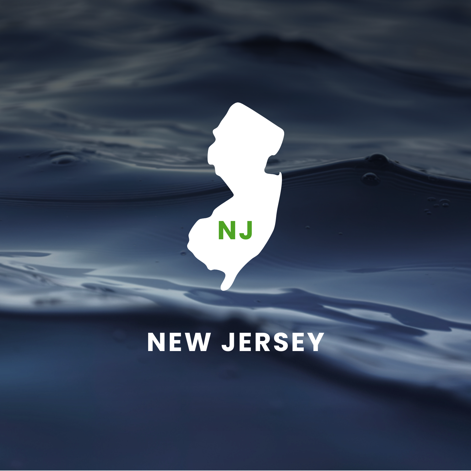New Jersey’s Earmarks Factsheet