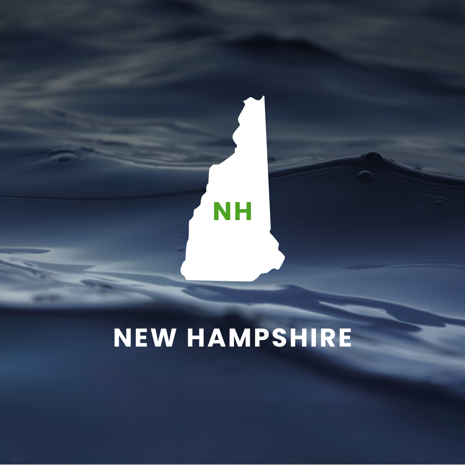 New Hampshire's Earmarks Factsheet