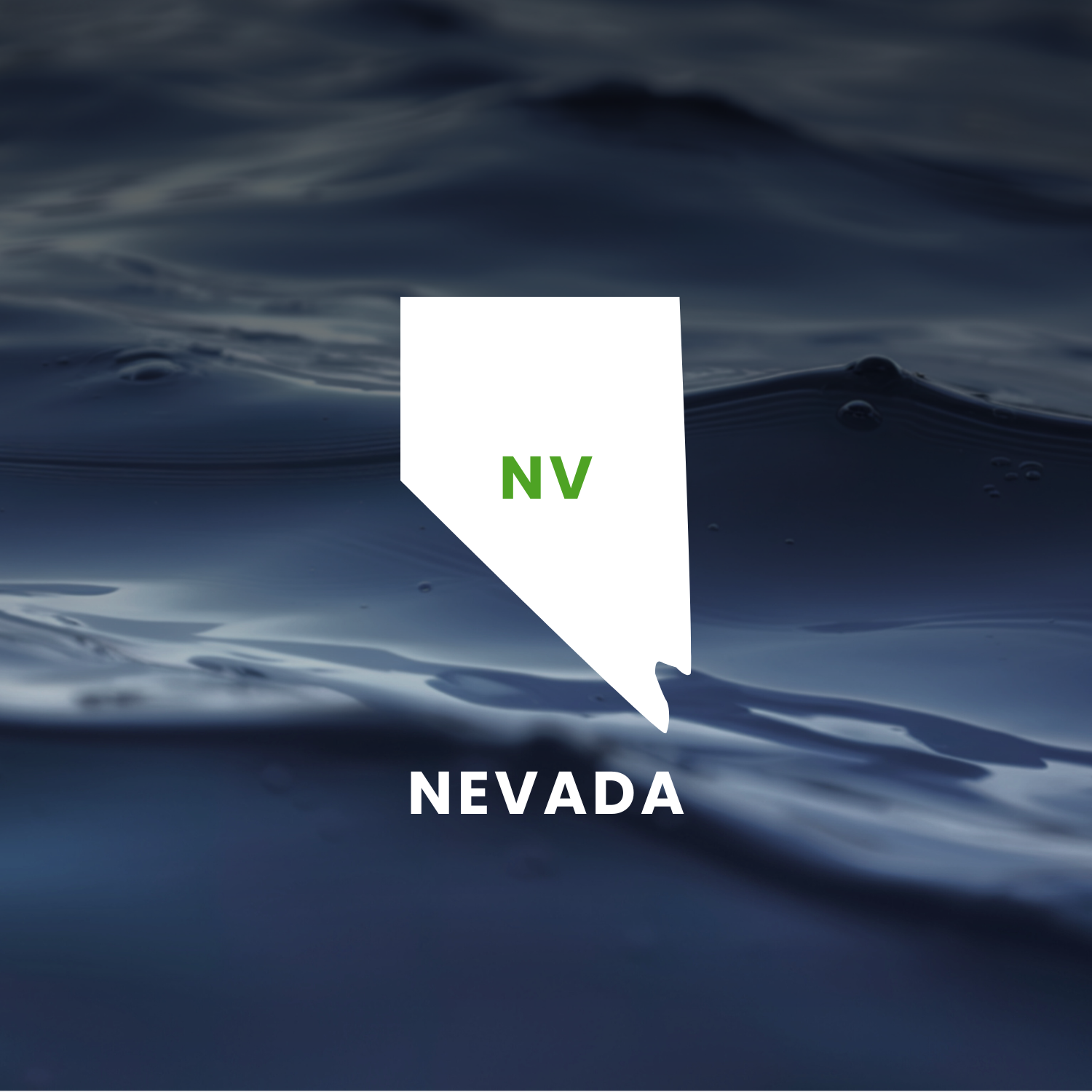 Nevada’s Earmarks Factsheet