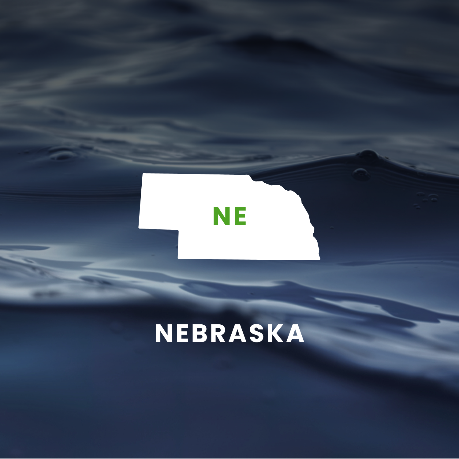 Nebraska’s Earmarks Factsheet