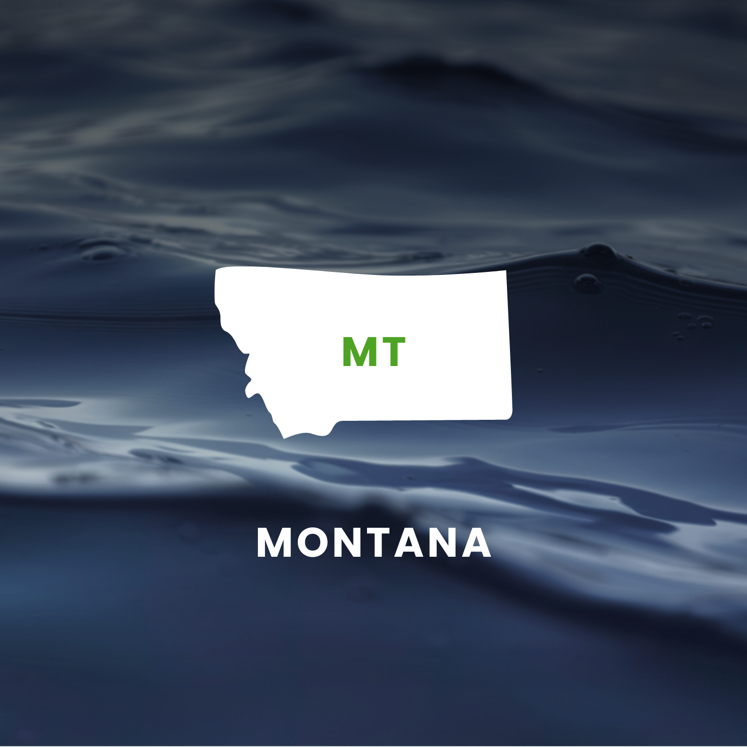 Montana’s Earmarks Factsheet