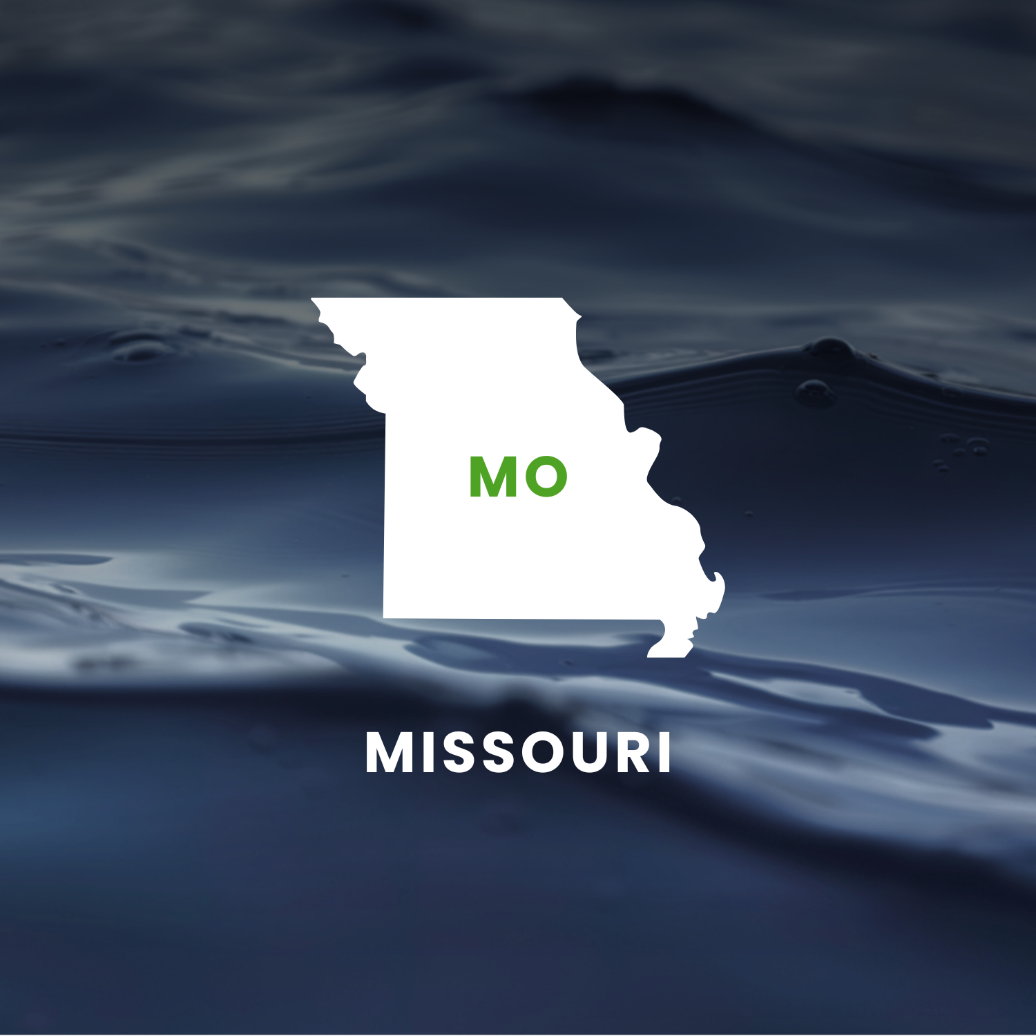 Missouri’s Earmarks Factsheet
