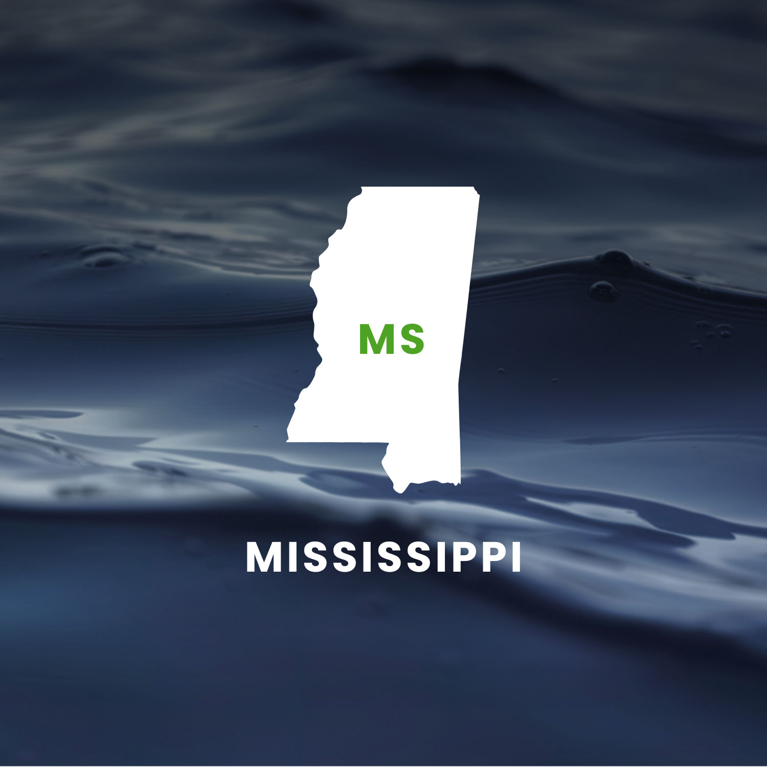 Mississippi’s Earmarks Factsheet