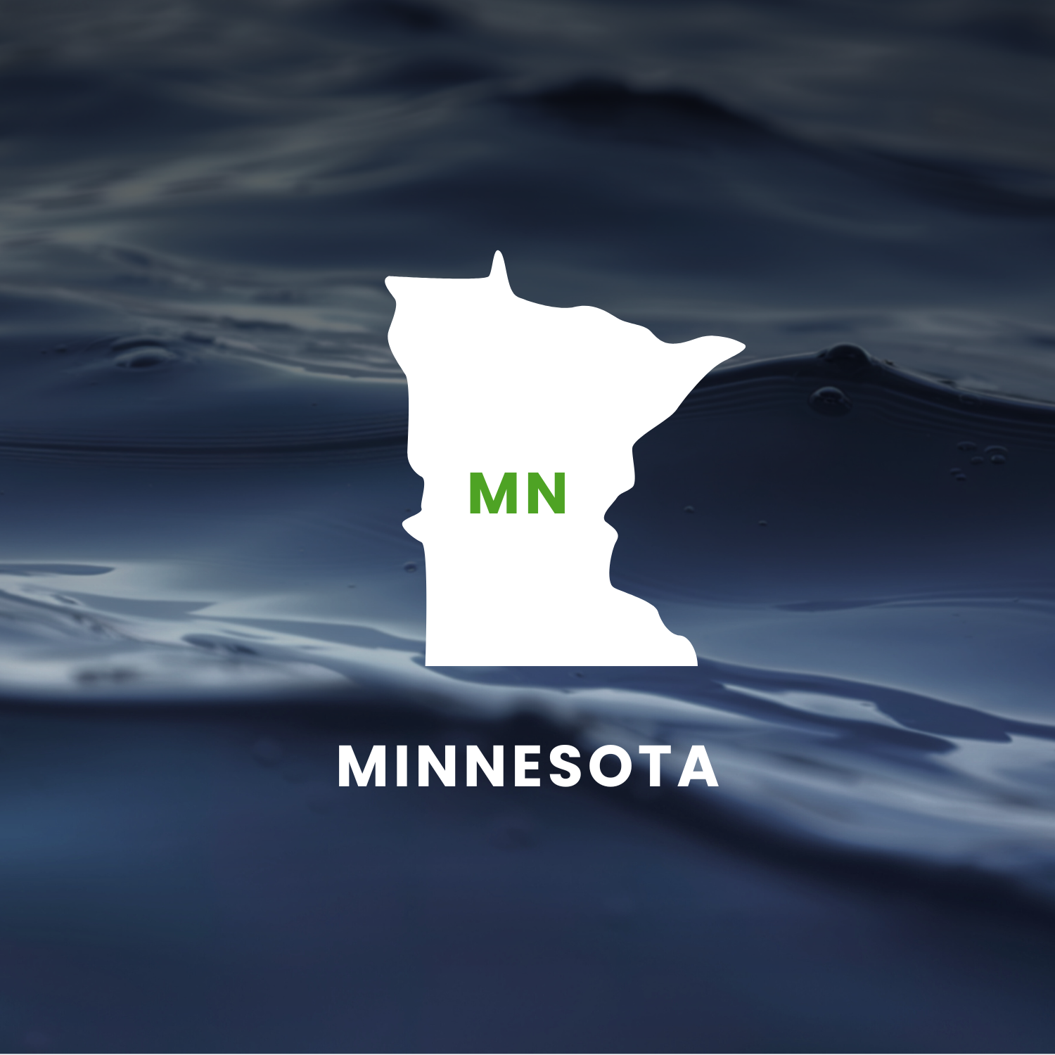 Minnesota’s Earmarks Factsheet