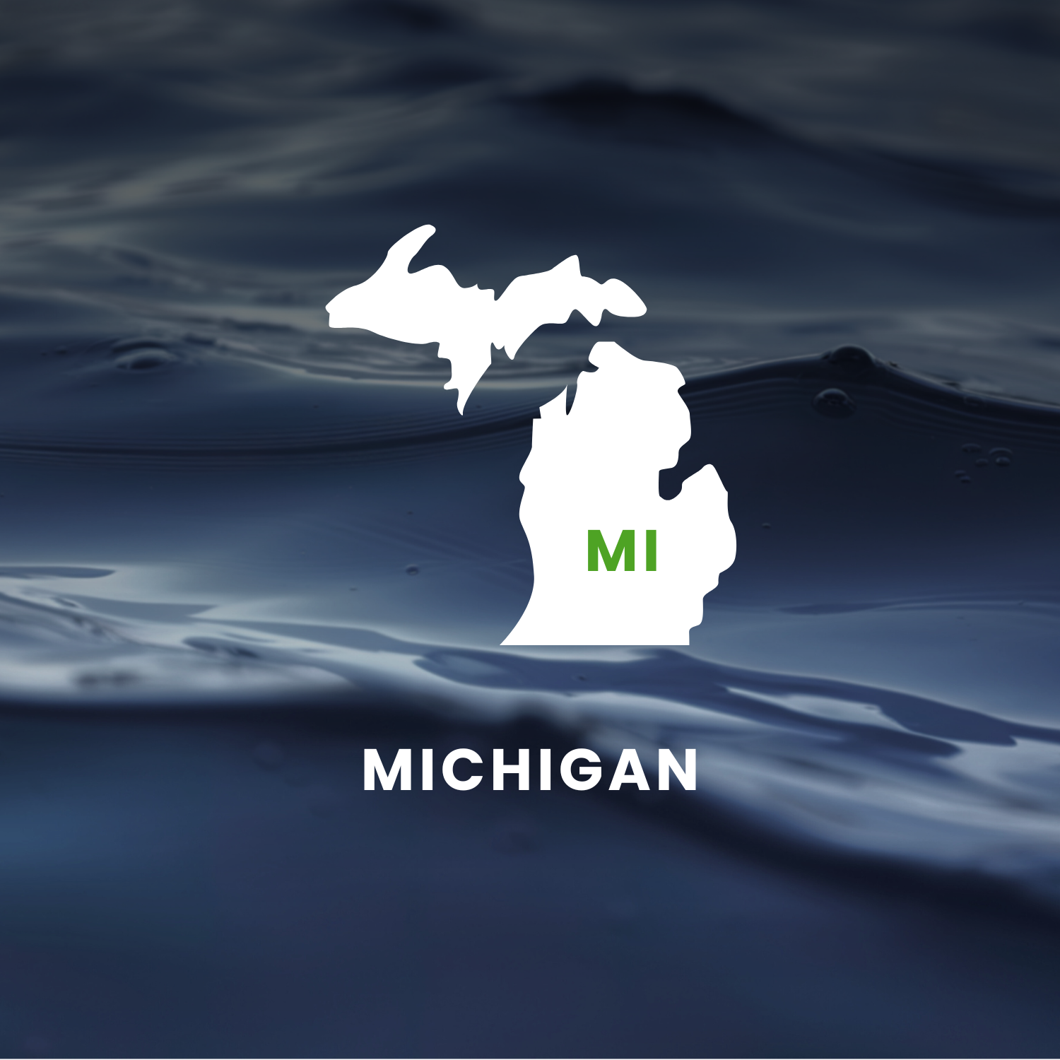 Michigan’s Earmarks Factsheet