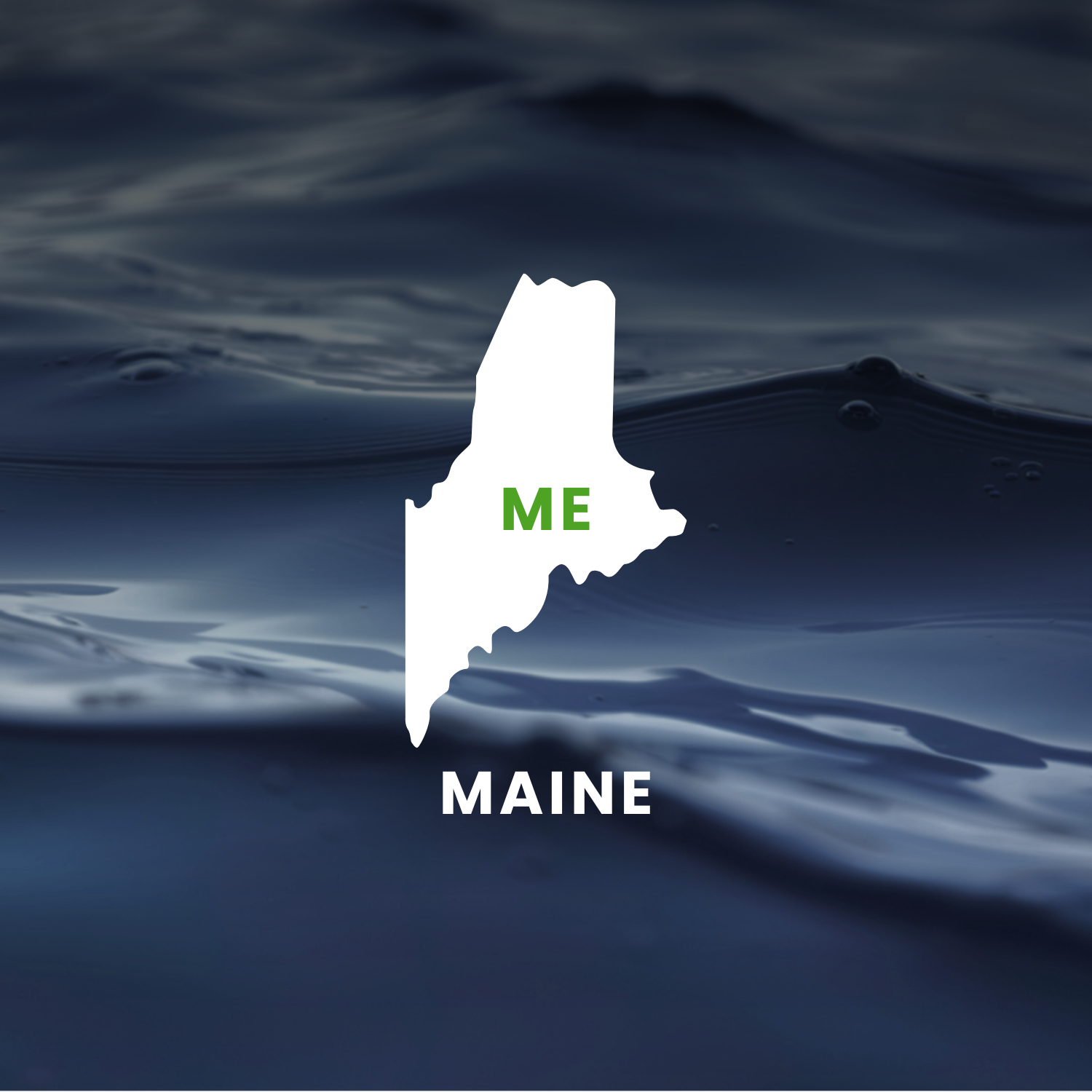 Maine’s Earmarks Factsheet