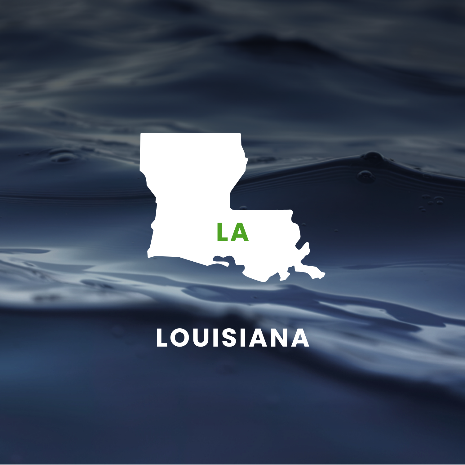 Louisiana’s Earmarks Factsheet