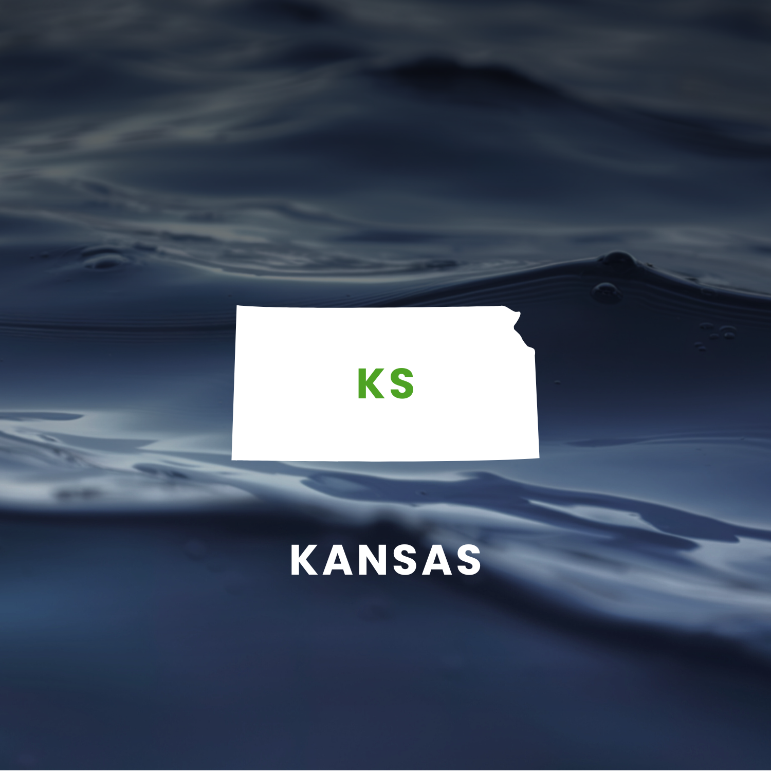 Kansas's Earmarks Factsheet