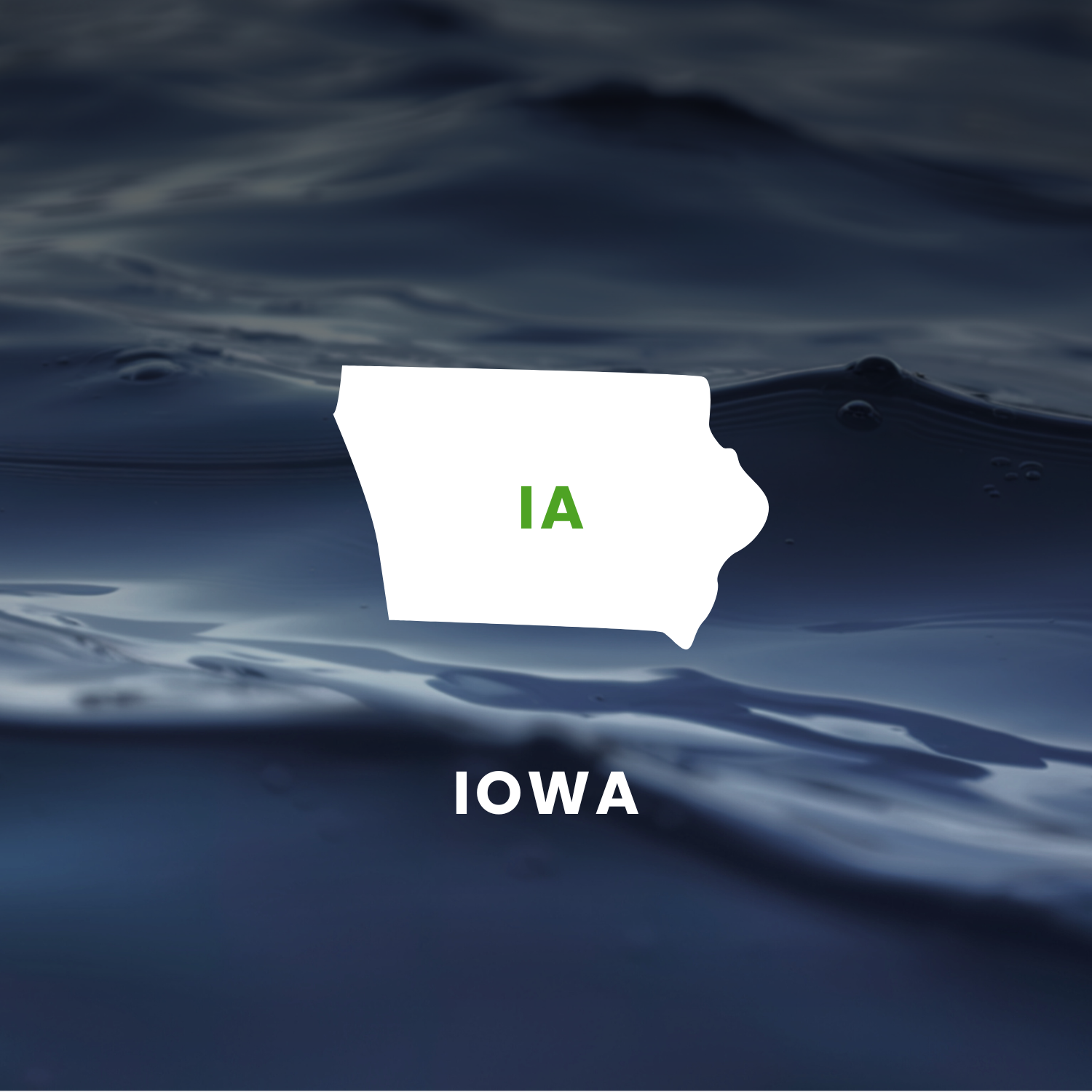 Iowa’s Earmarks Factsheet
