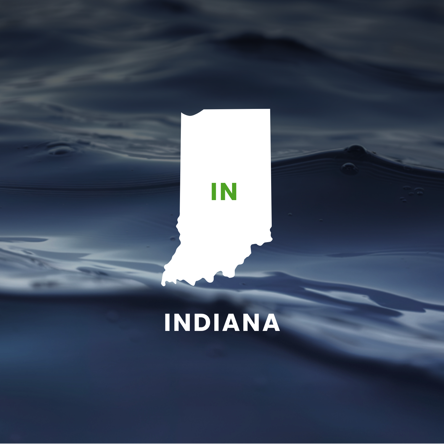 Indiana’s Earmarks Factsheet