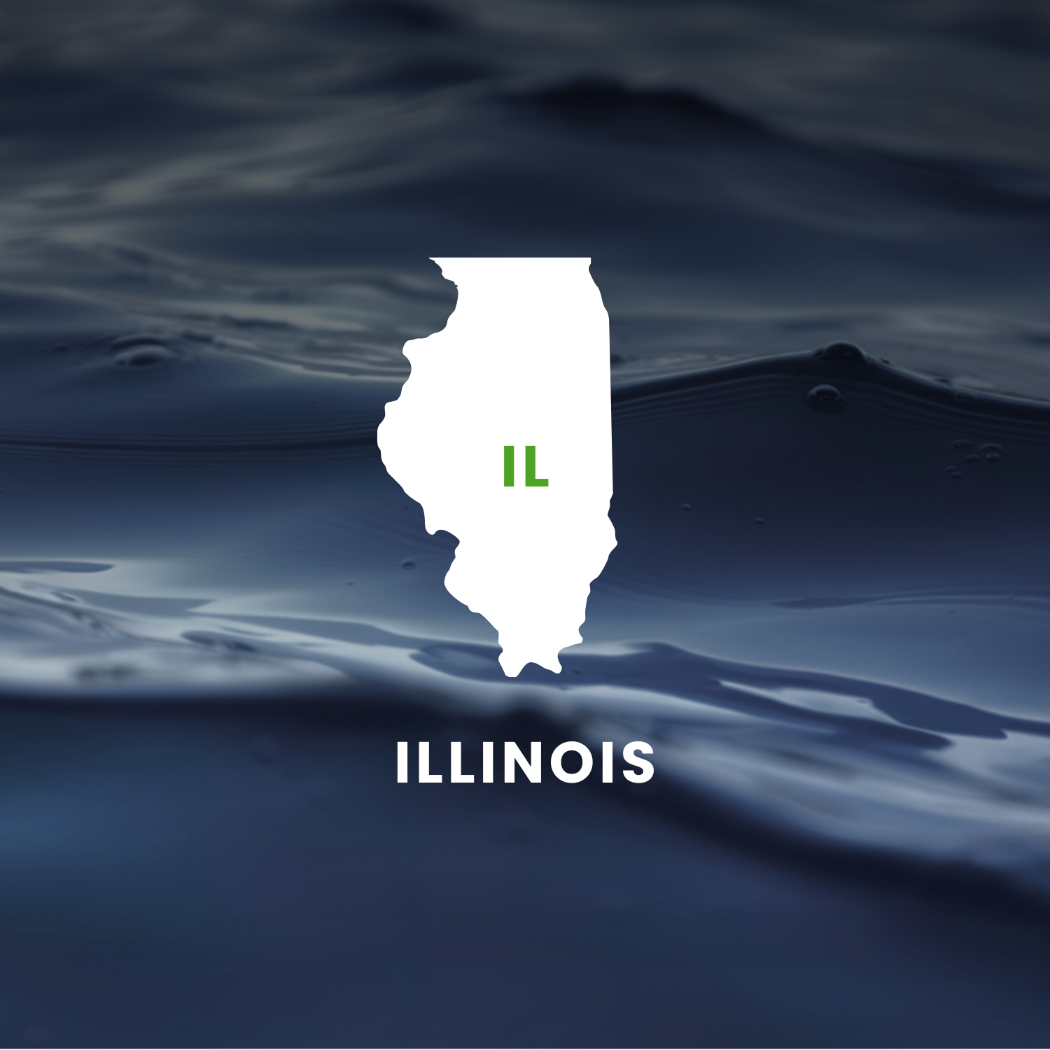 Illinois’s Earmarks Factsheet