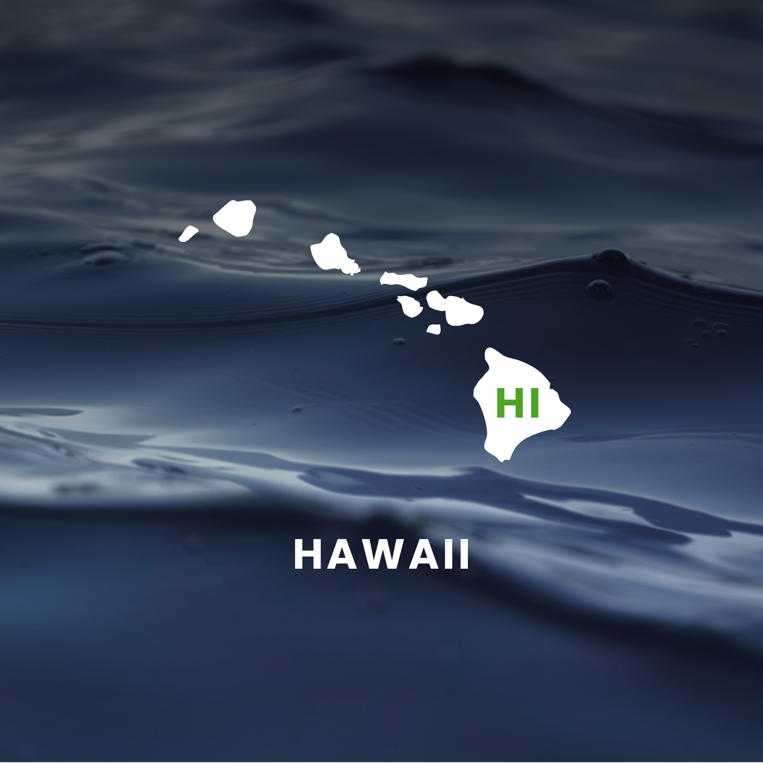 Hawaii’s Earmarks Factsheet