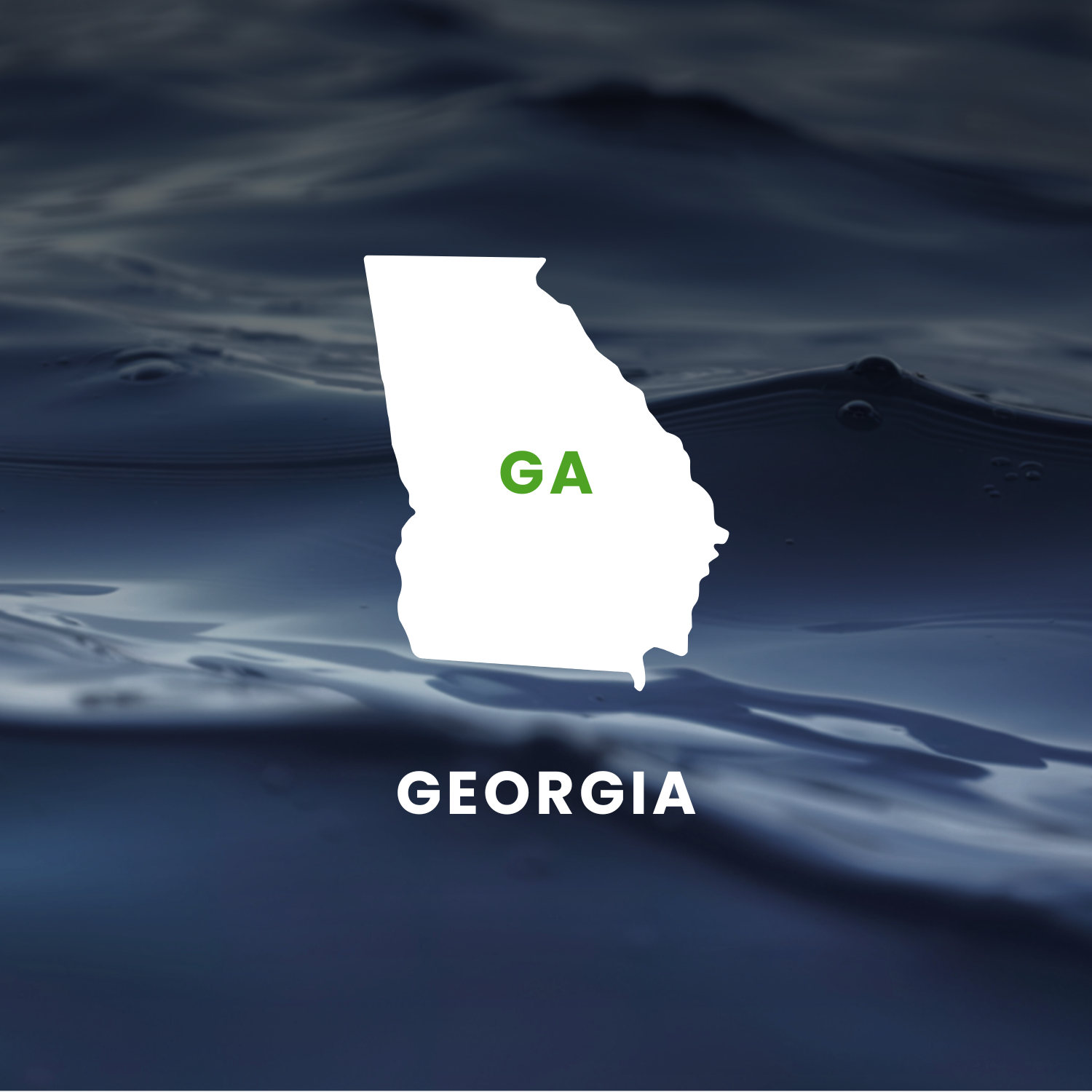 Georgia’s Earmarks Factsheet