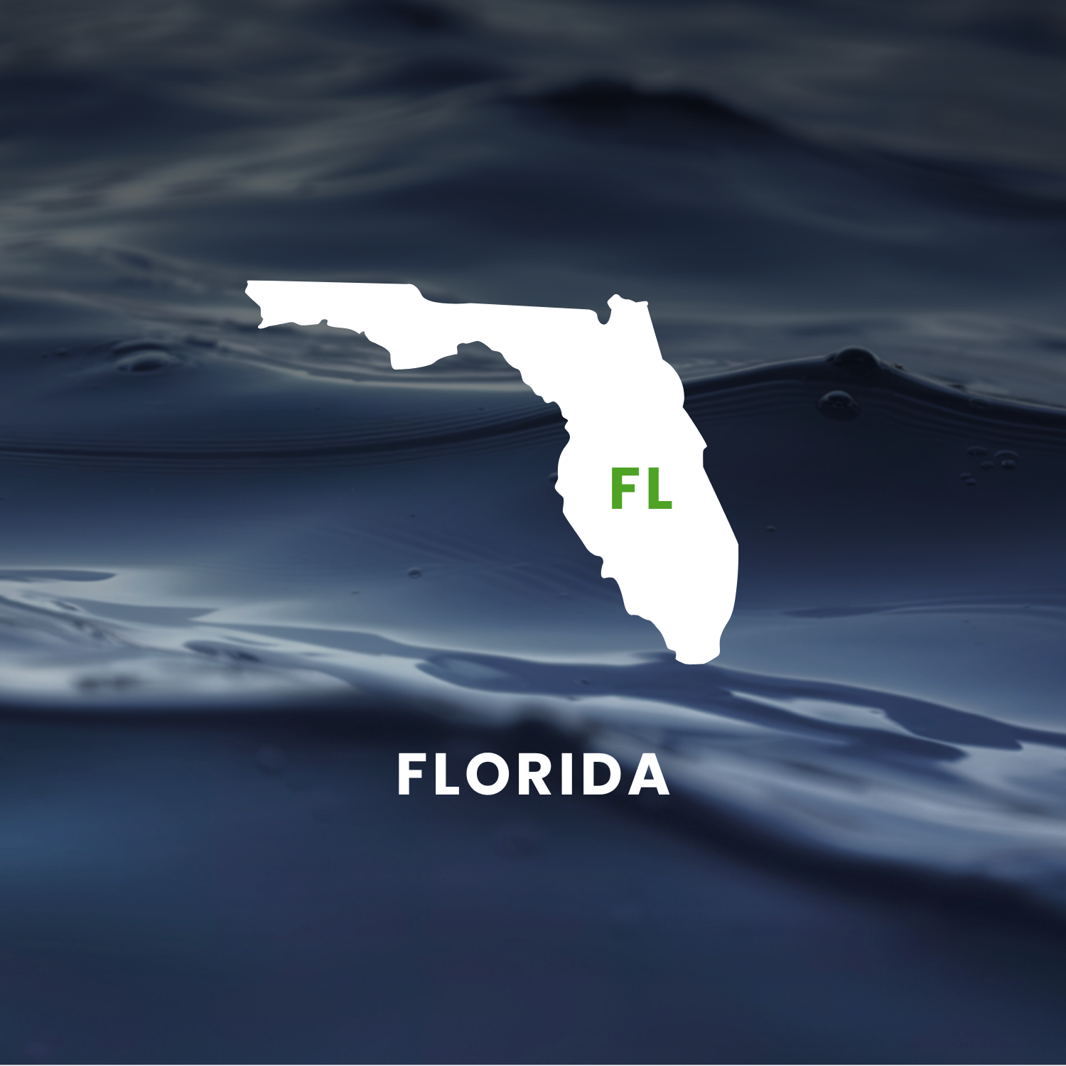 Florida’s Earmarks Factsheet