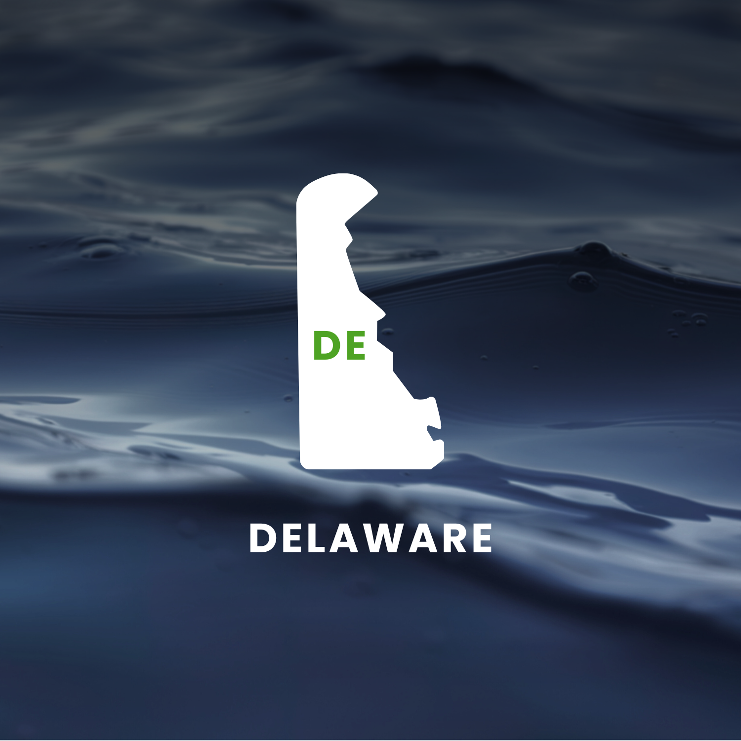Delaware’s Earmarks Factsheet