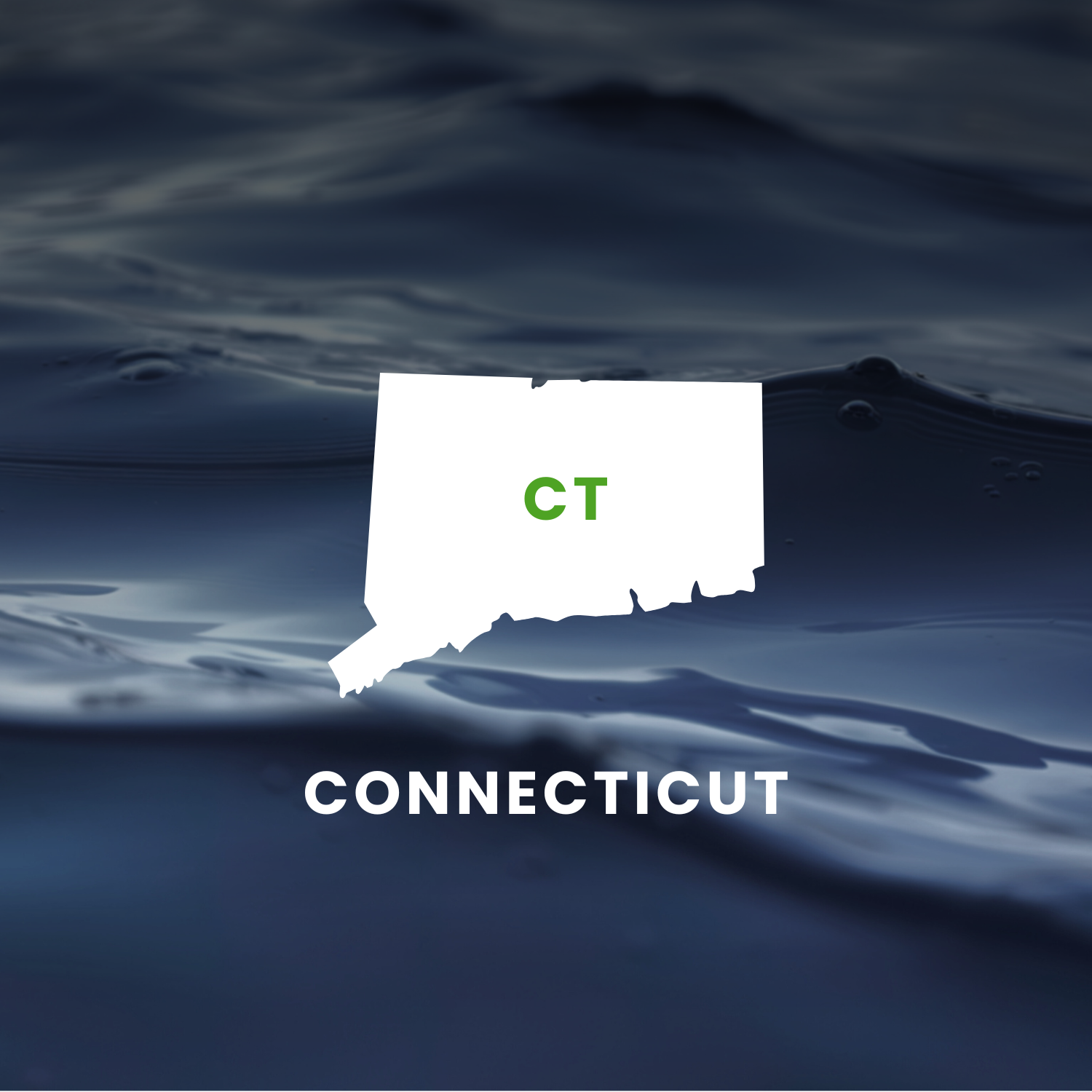 Connecticut’s Earmarks Factsheet