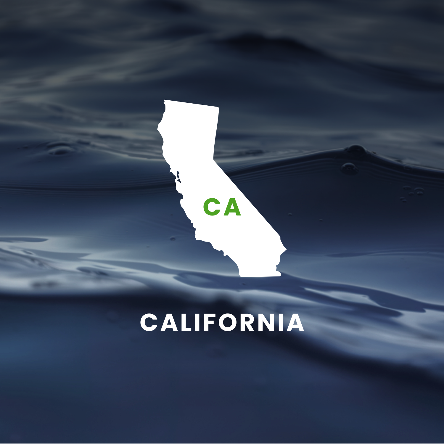 California’s Earmarks Factsheet
