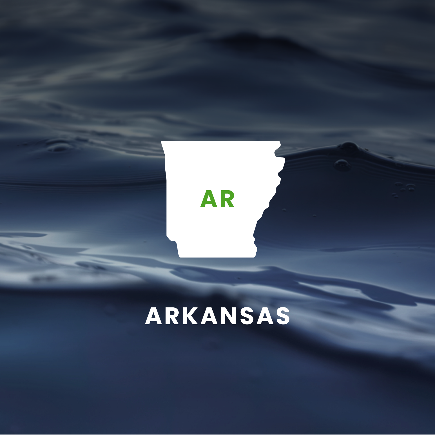 Arkansas’s Earmarks Factsheet