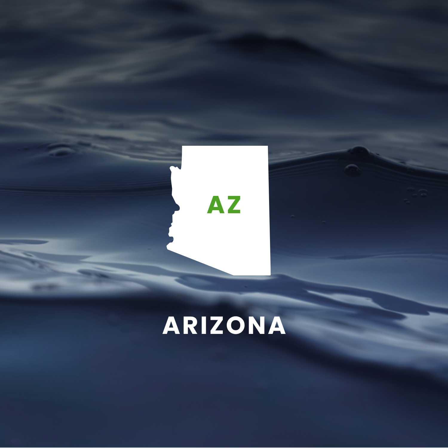 Arizona’s Earmarks Factsheet