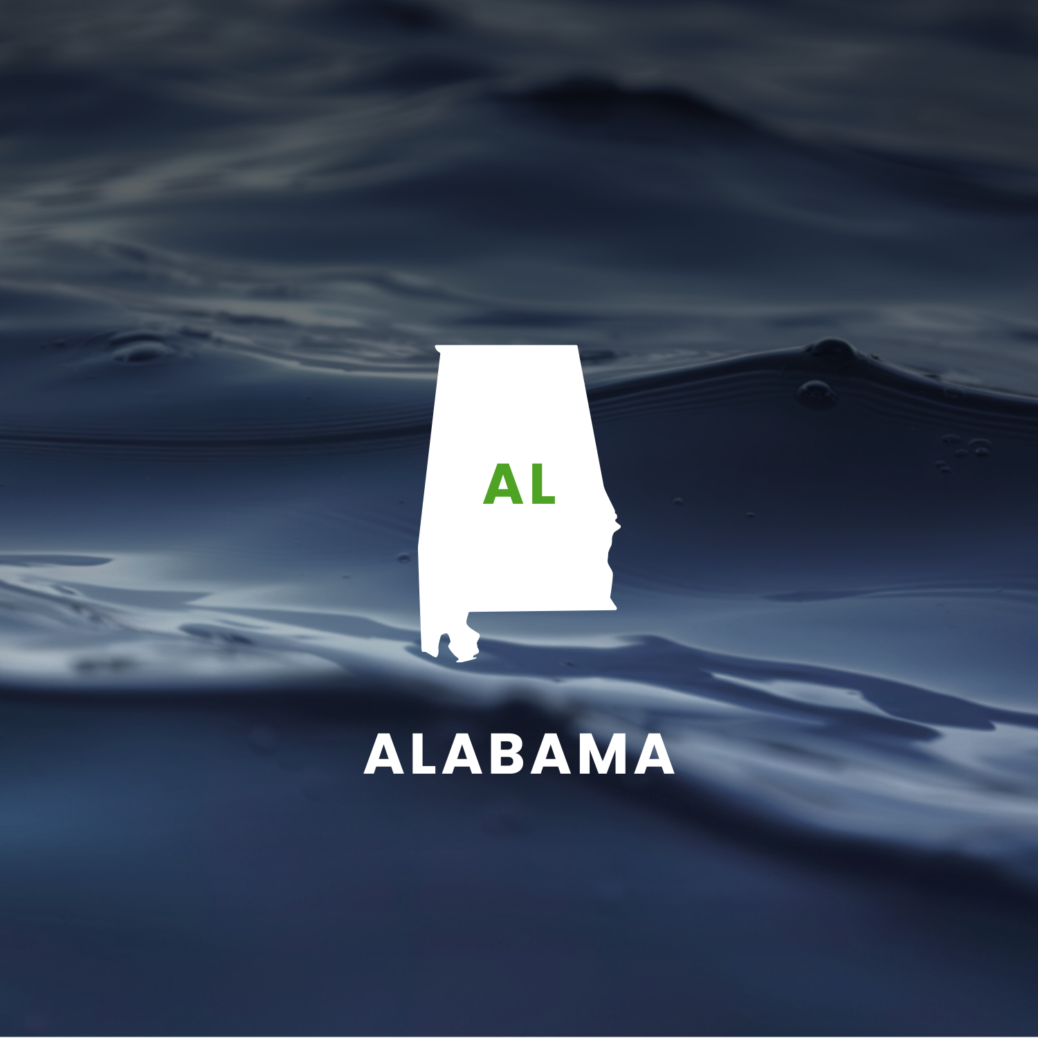 Alabama’s Earmarks Factsheet