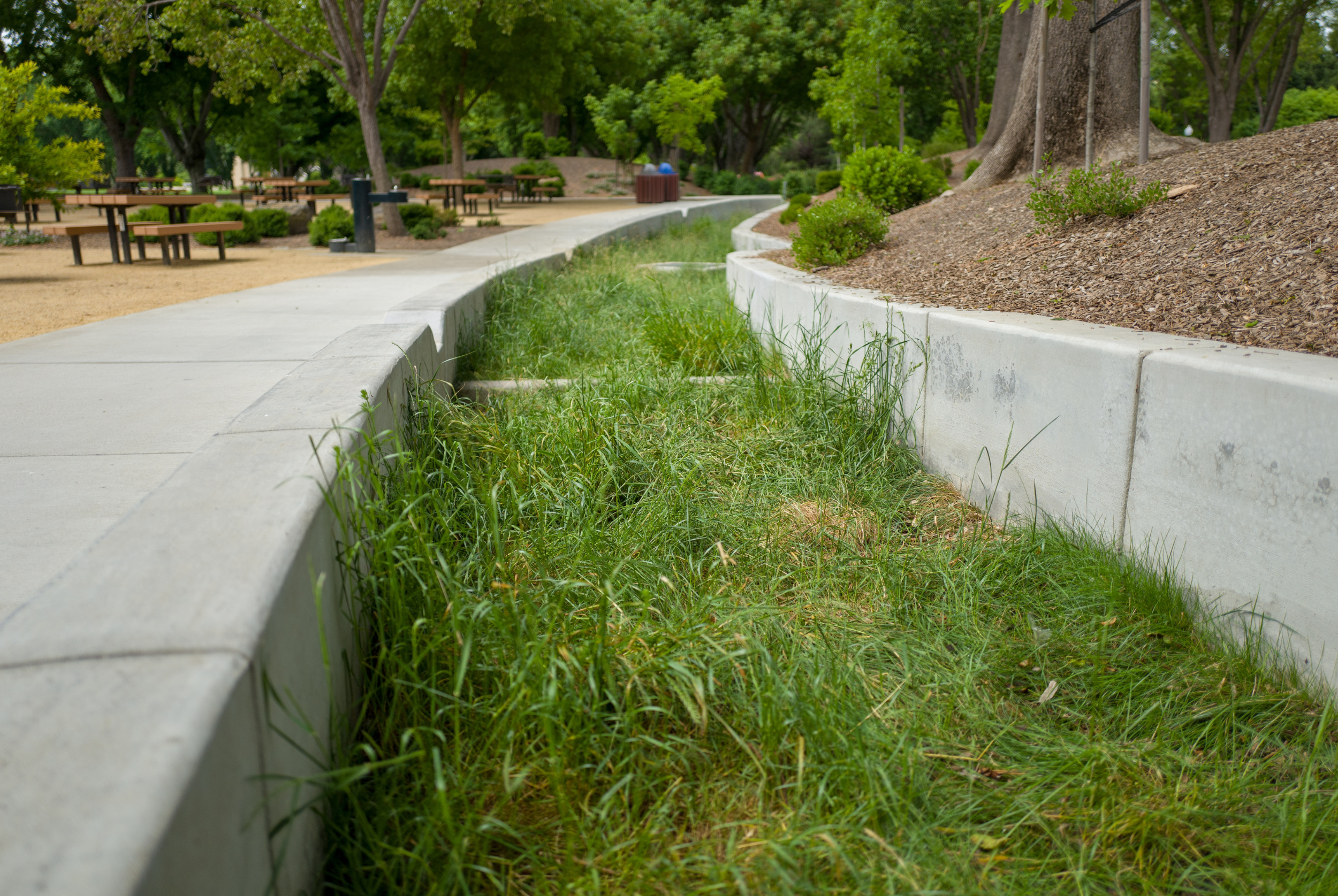 Contractors as Allies: Pay for Success in Green Stormwater Infrastructure