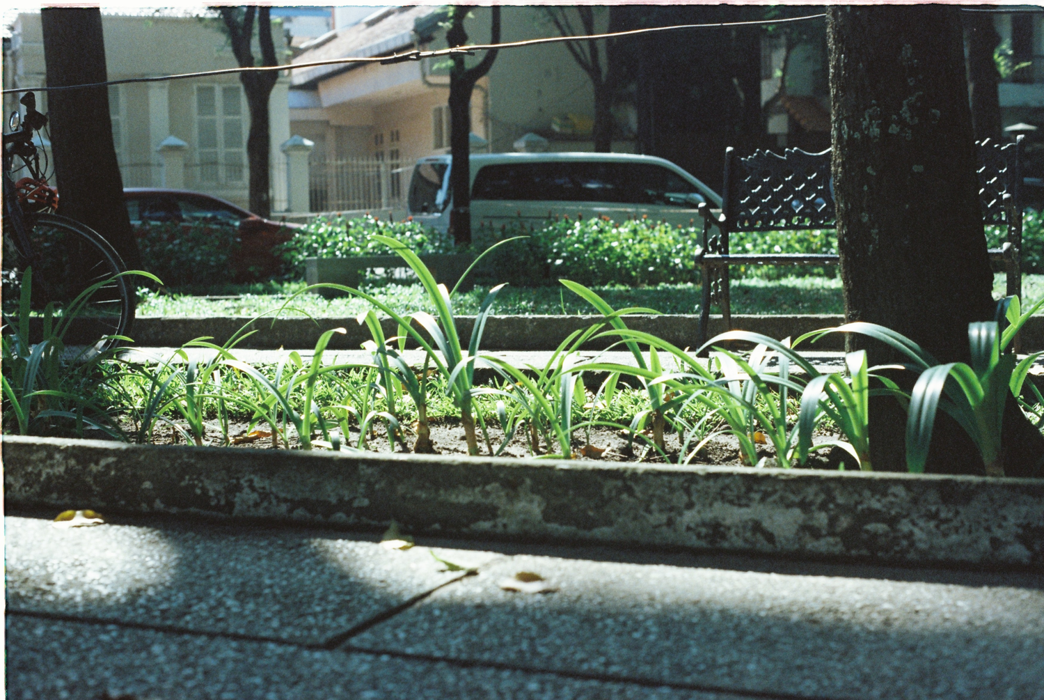 Picture Idea: Green Infrastructure