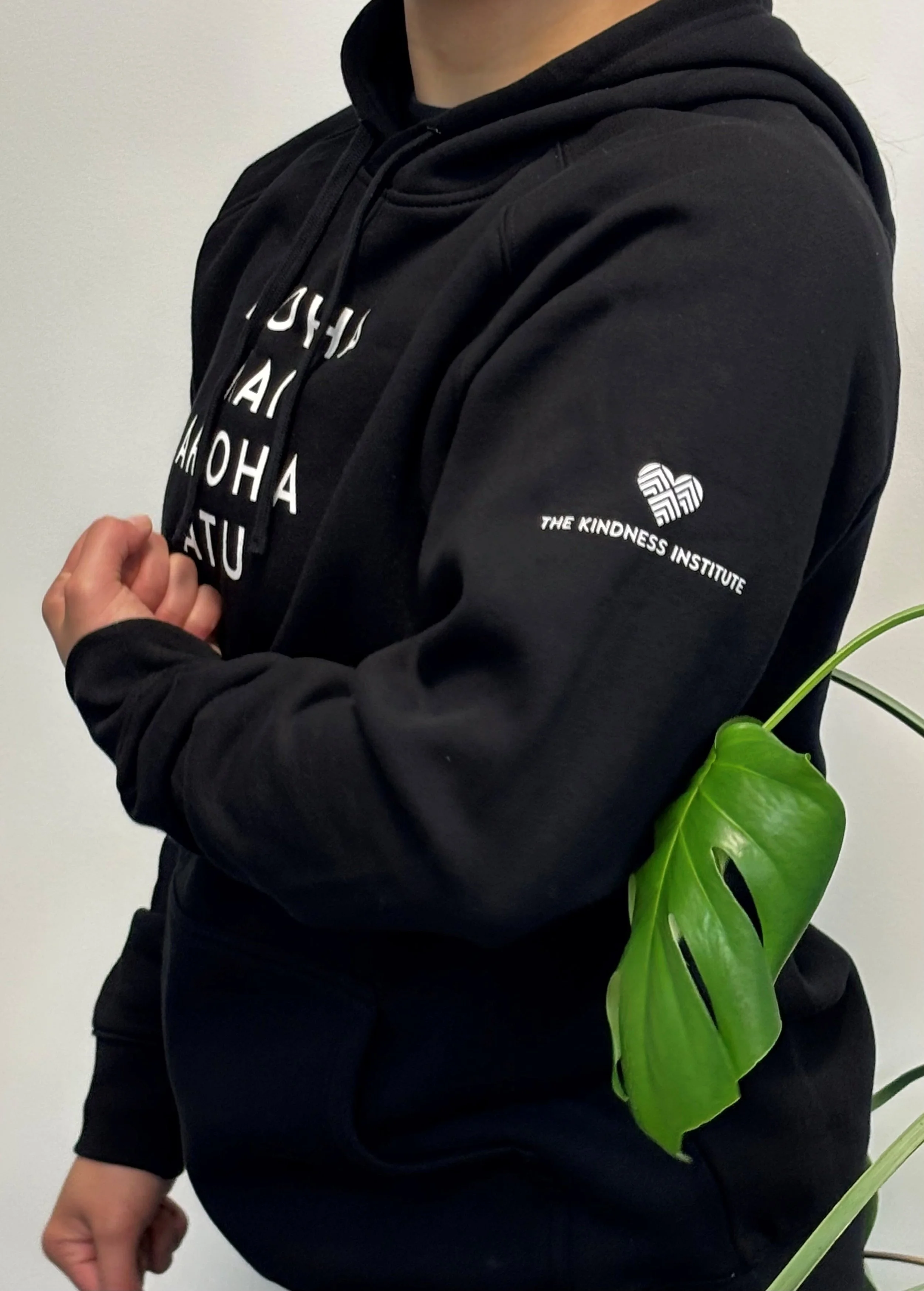 Hoodie 2.jpg