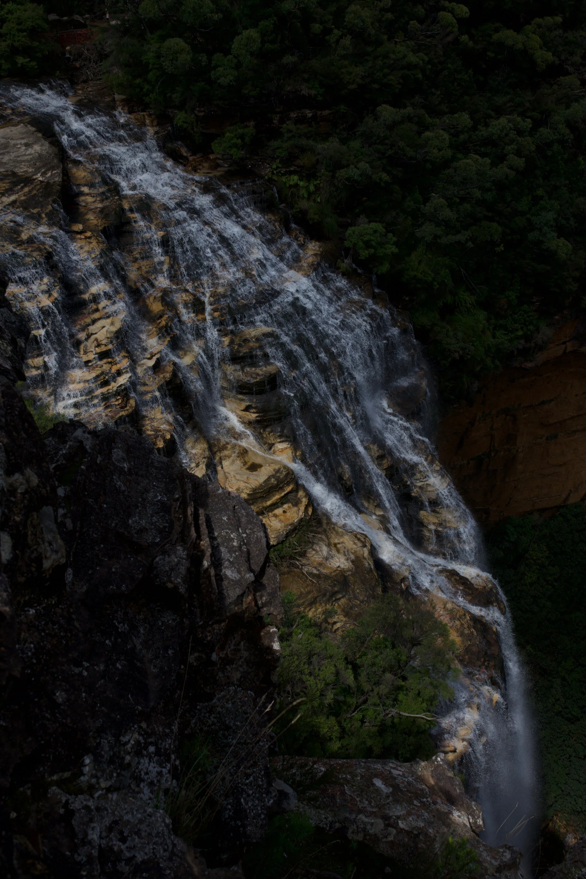 DSC_0344 2.jpeg