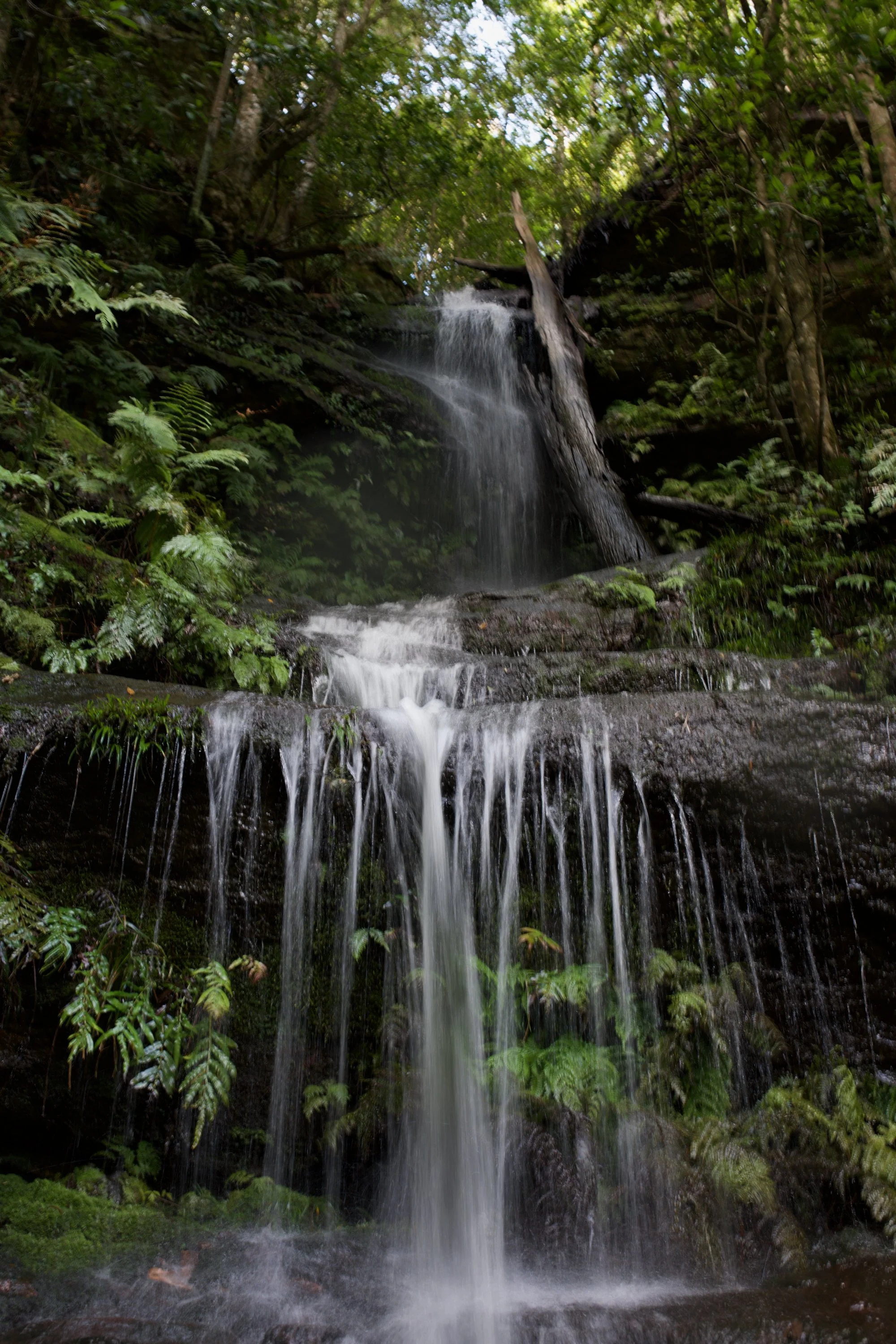 DSC_0602 2.jpeg