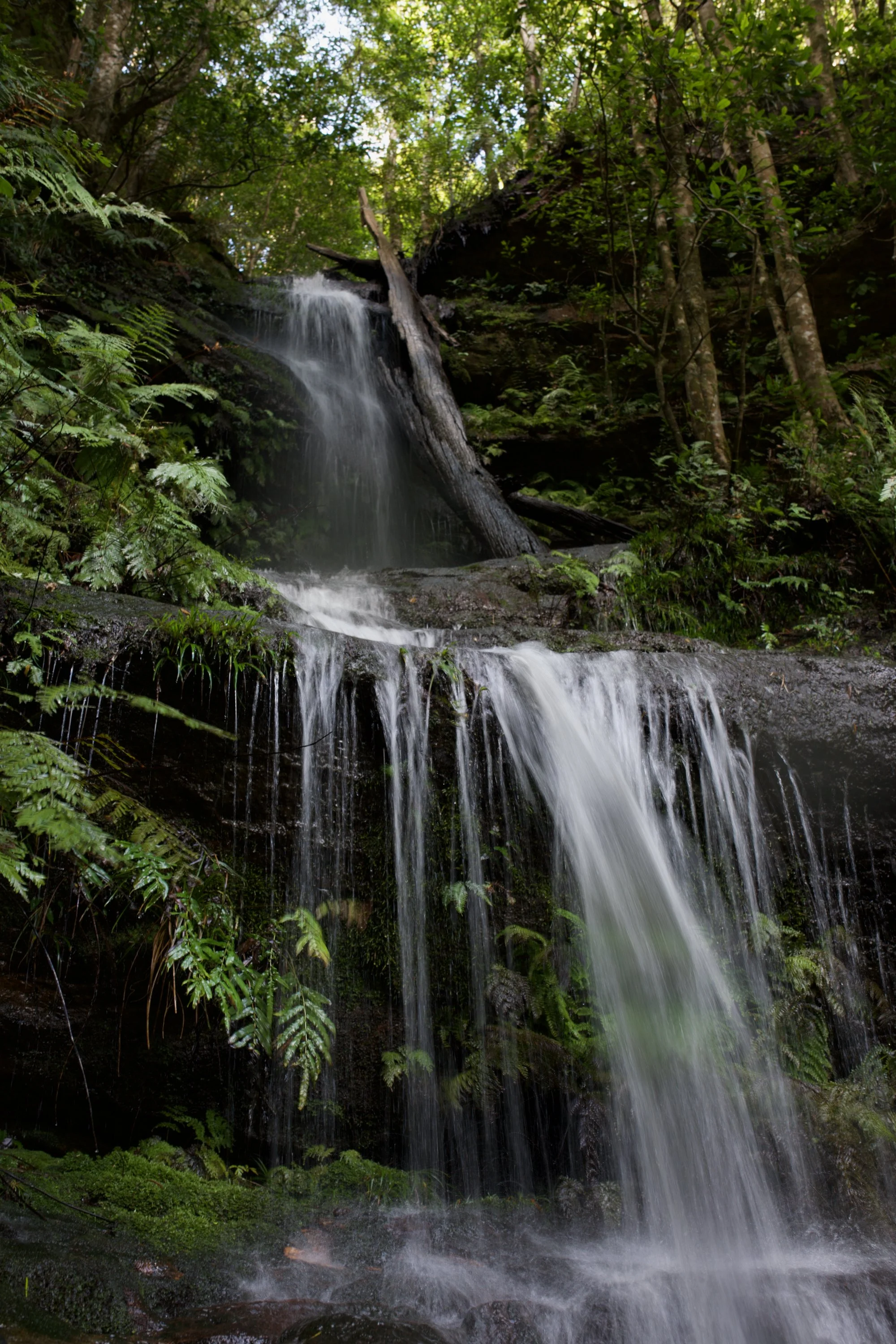 DSC_0604 2.jpeg