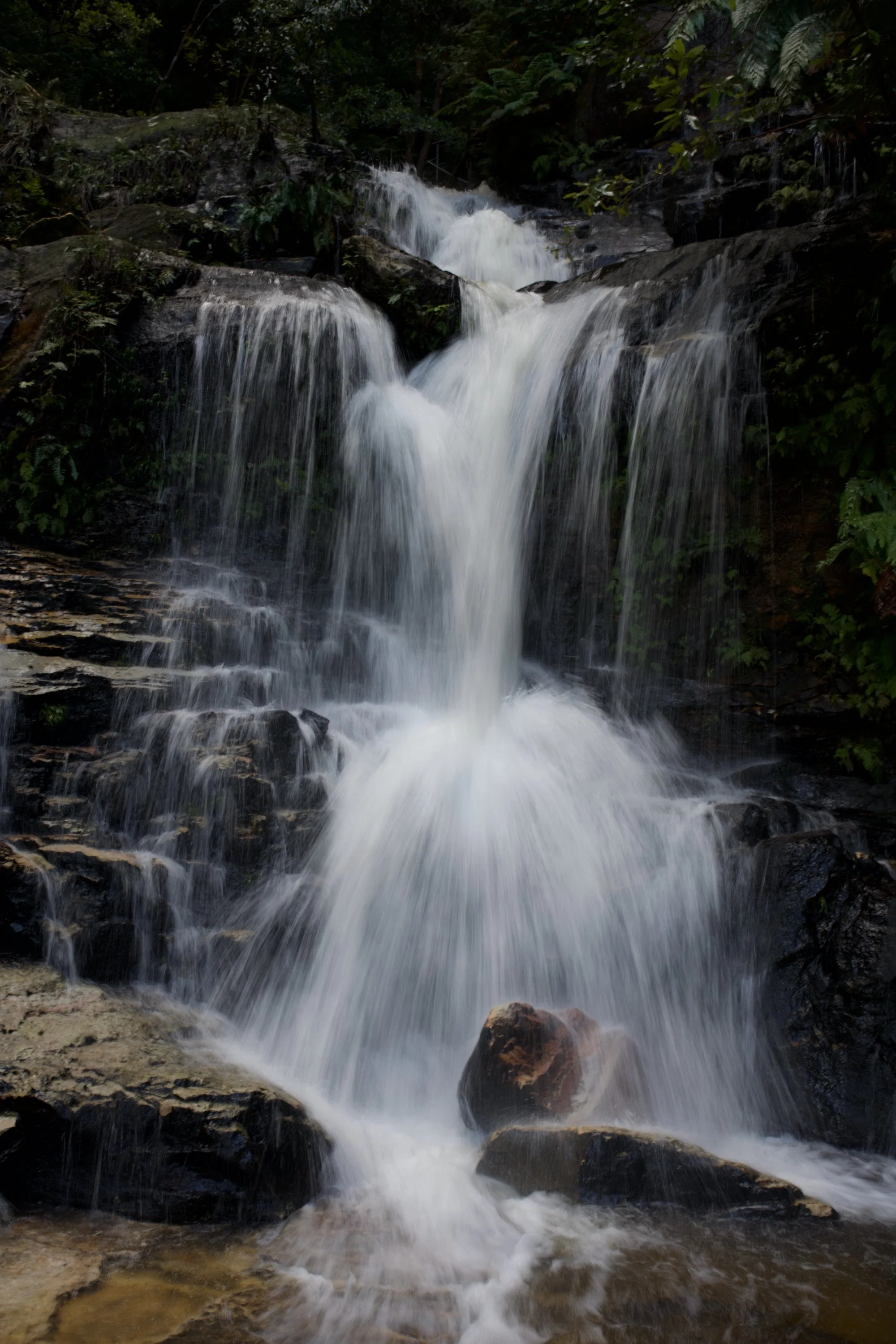 DSC_0819 2.jpeg