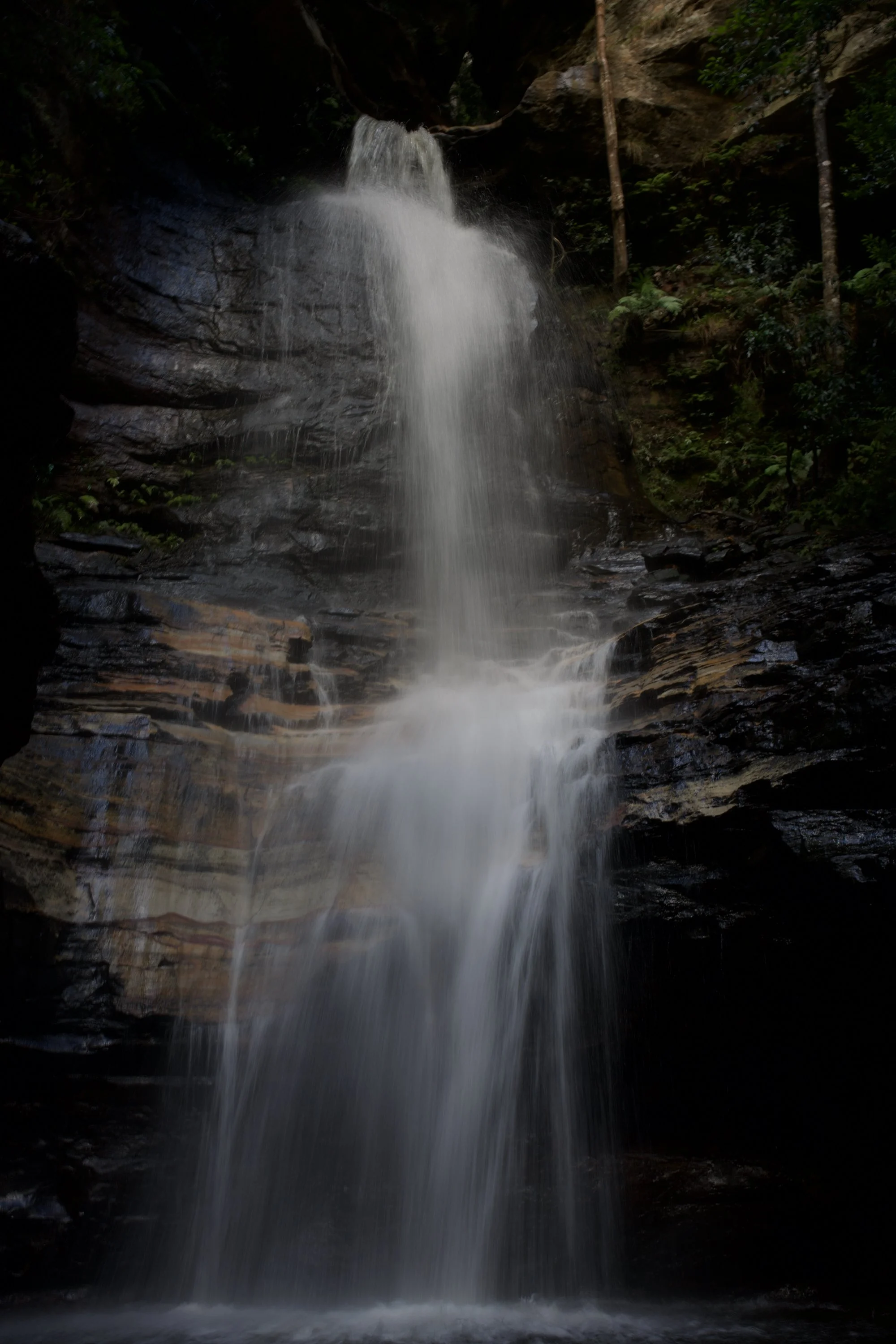 DSC_0995.jpeg