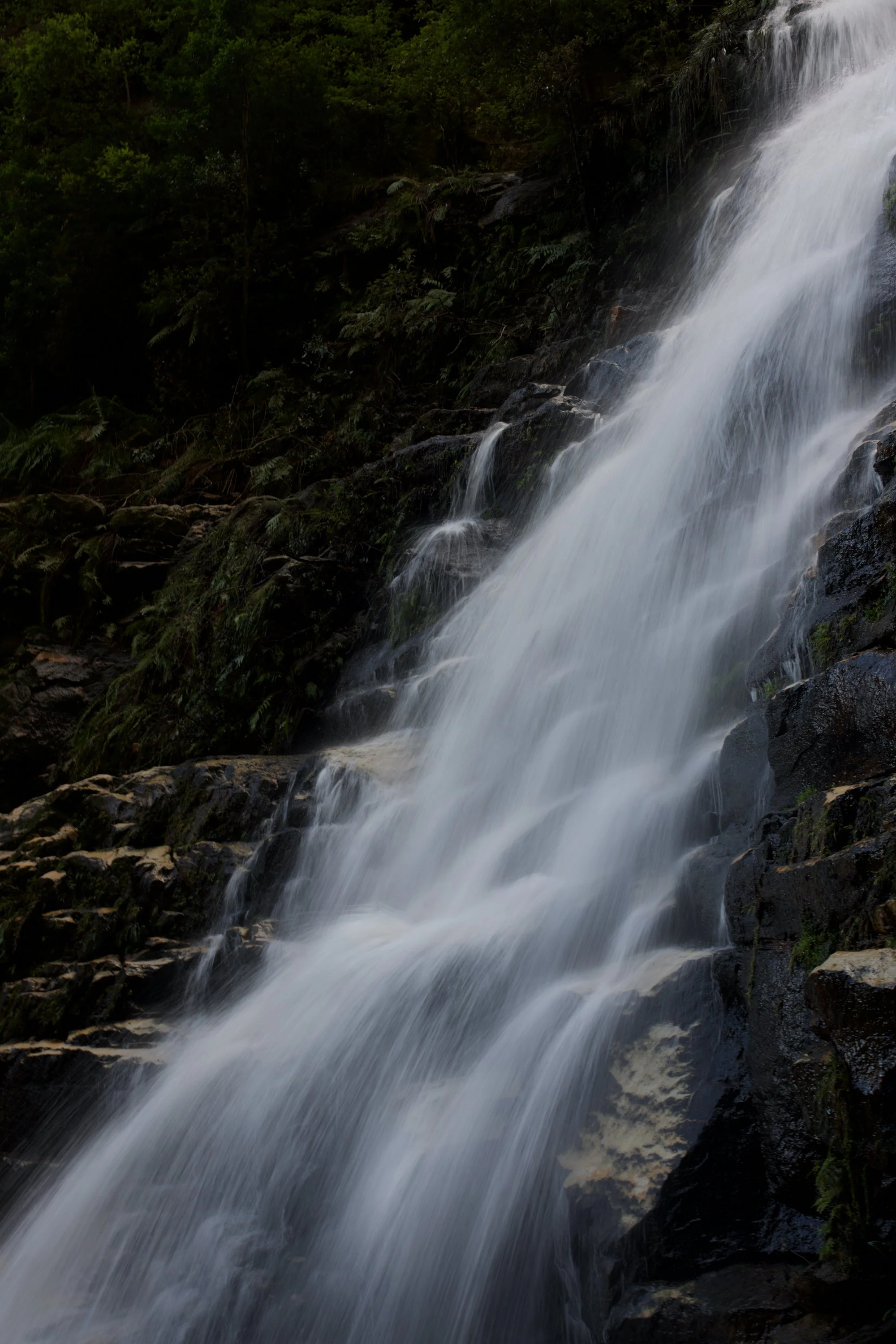 DSC_0849 2.jpeg